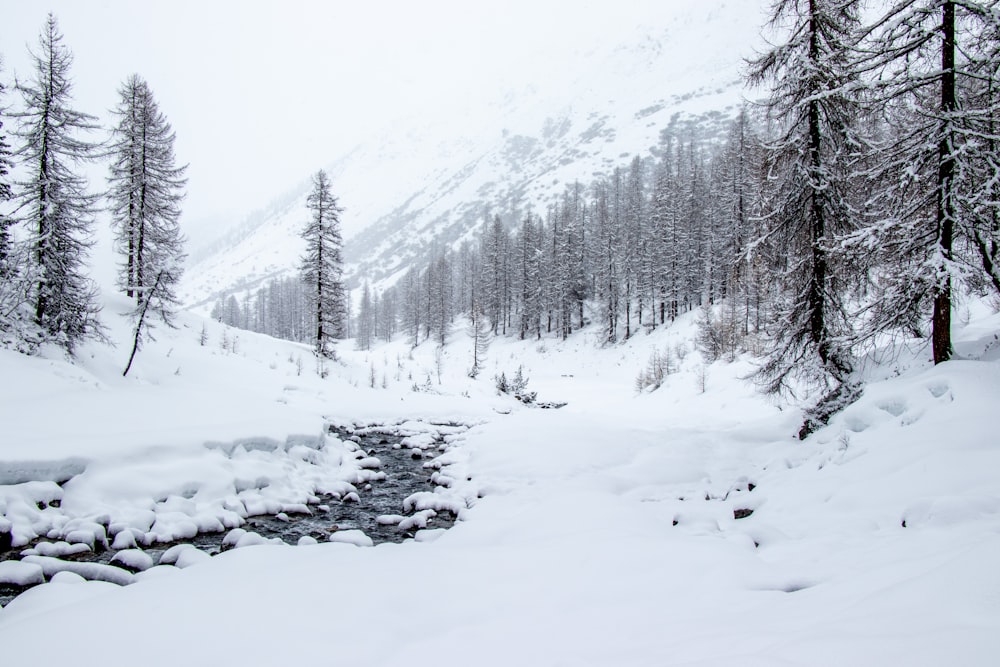 a snow covered mountain with a stream running through it