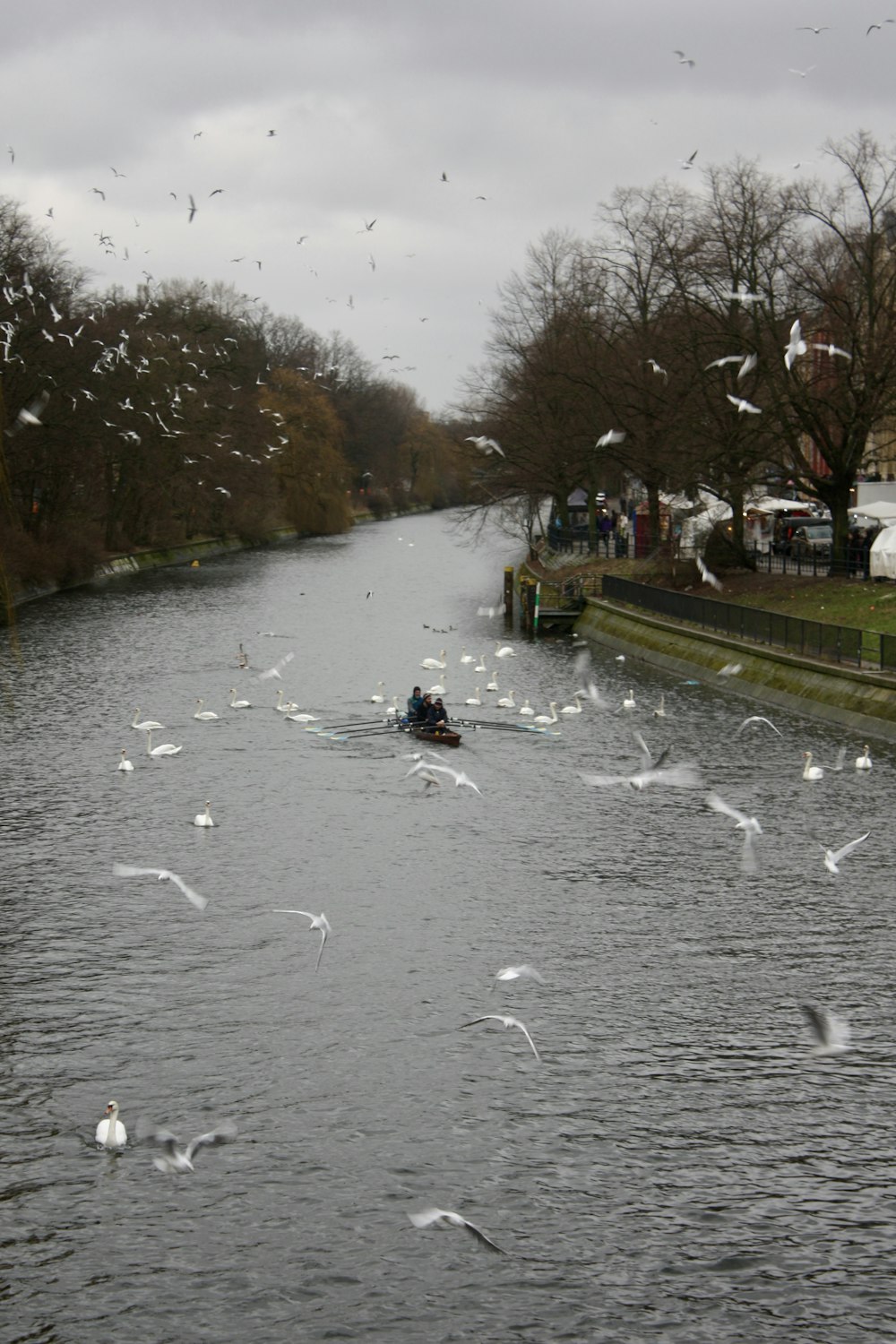 a group of birds flying over a river next to a boat