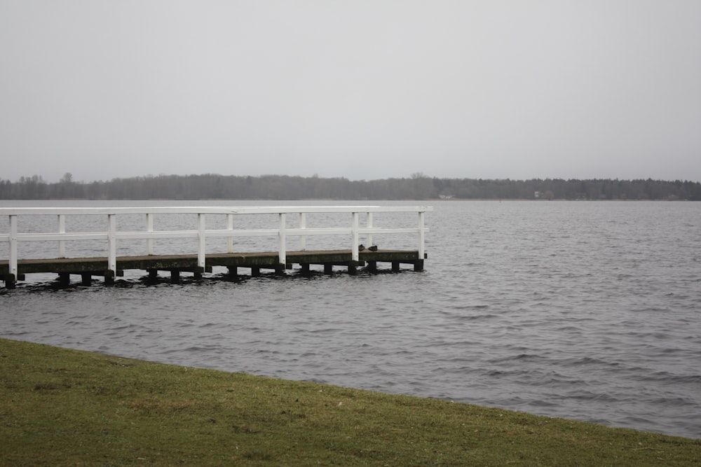 a pier sitting on top of a lake next to a lush green field