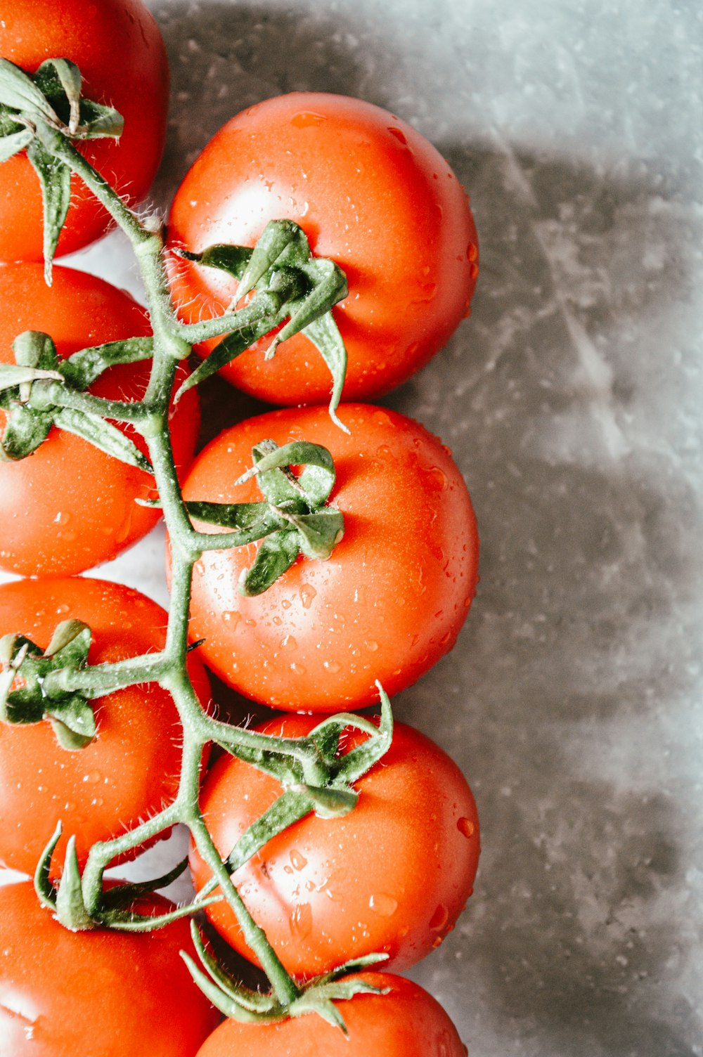 a bunch of tomatoes sitting on top of a table