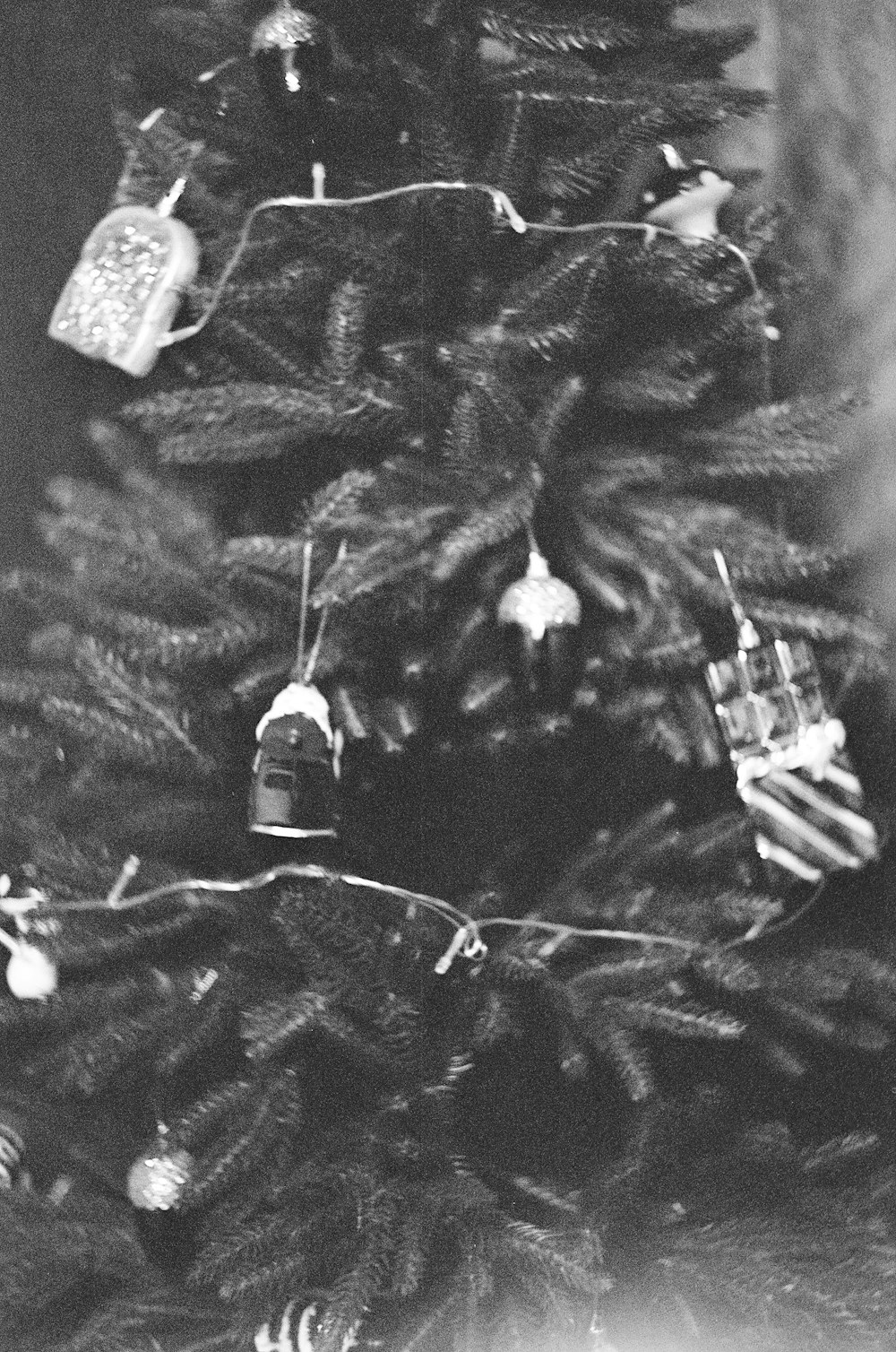 a black and white photo of a christmas tree