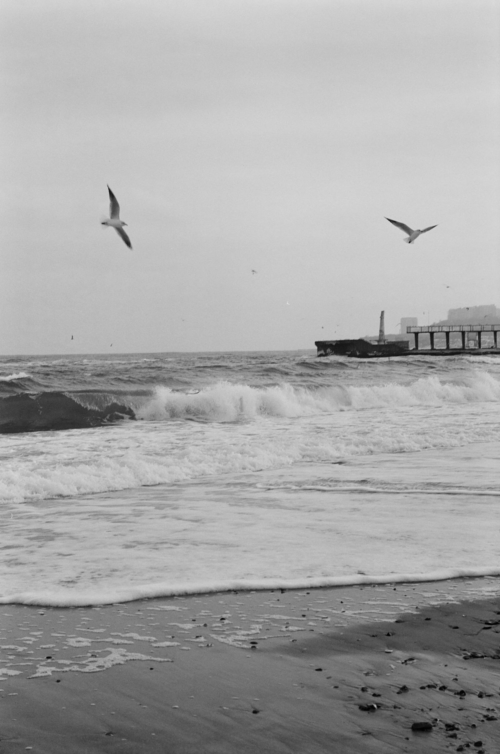 a black and white photo of seagulls flying over the ocean
