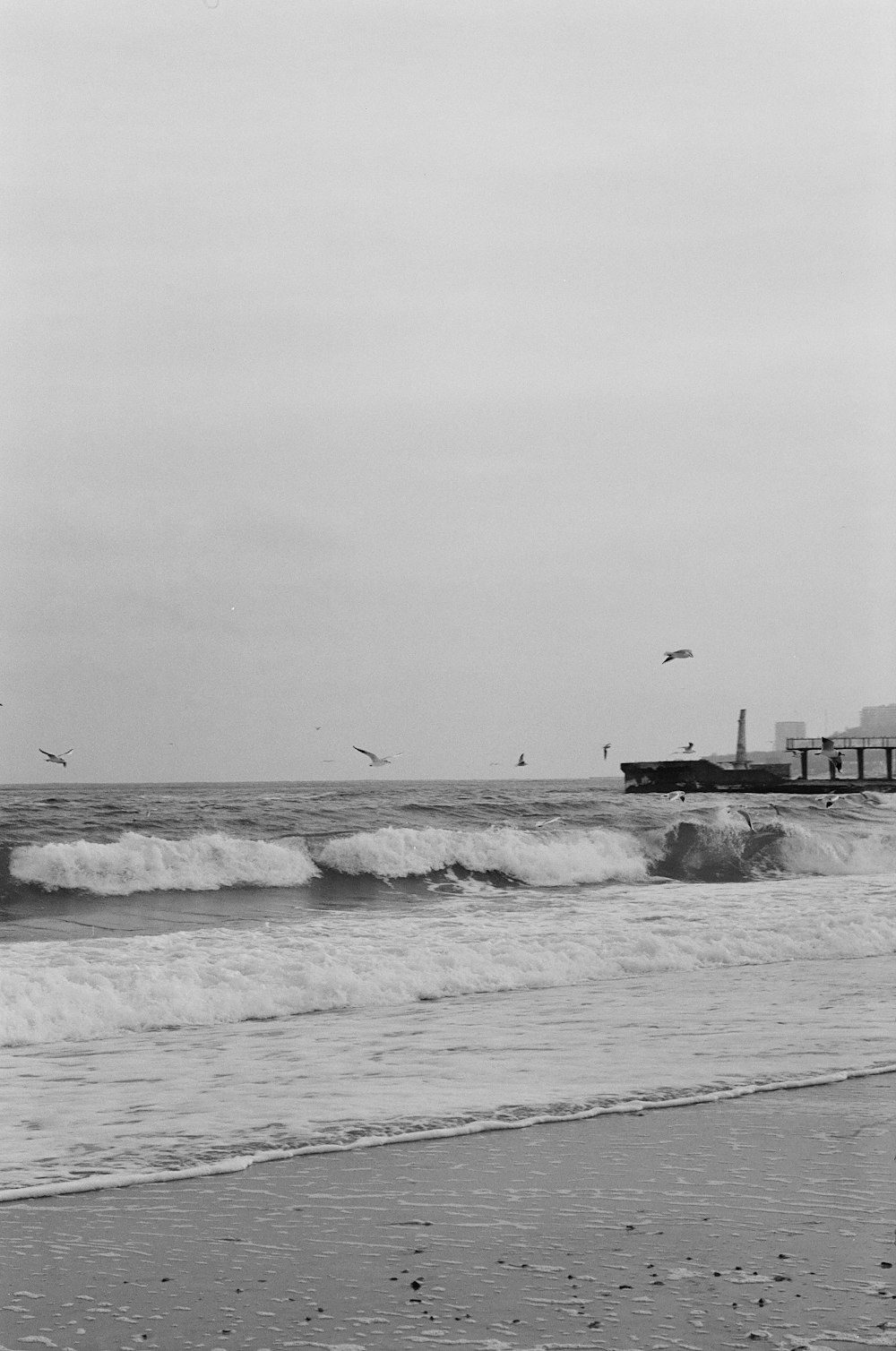 a black and white photo of birds flying over the ocean