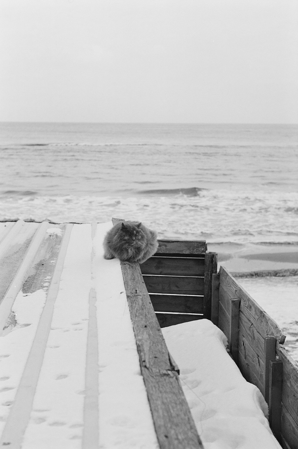 a black and white photo of a bench on the beach