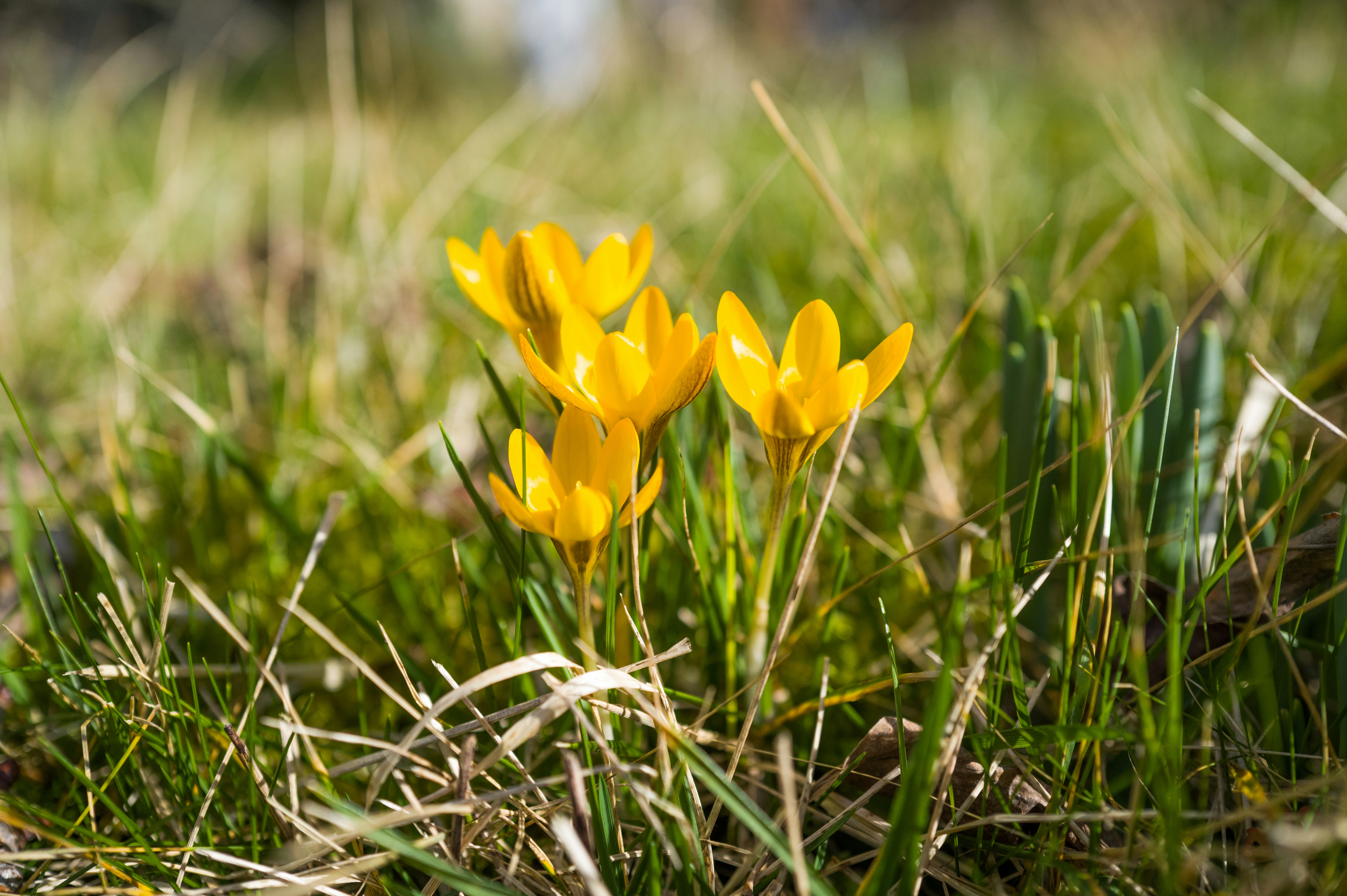 Photo by georgeiermann