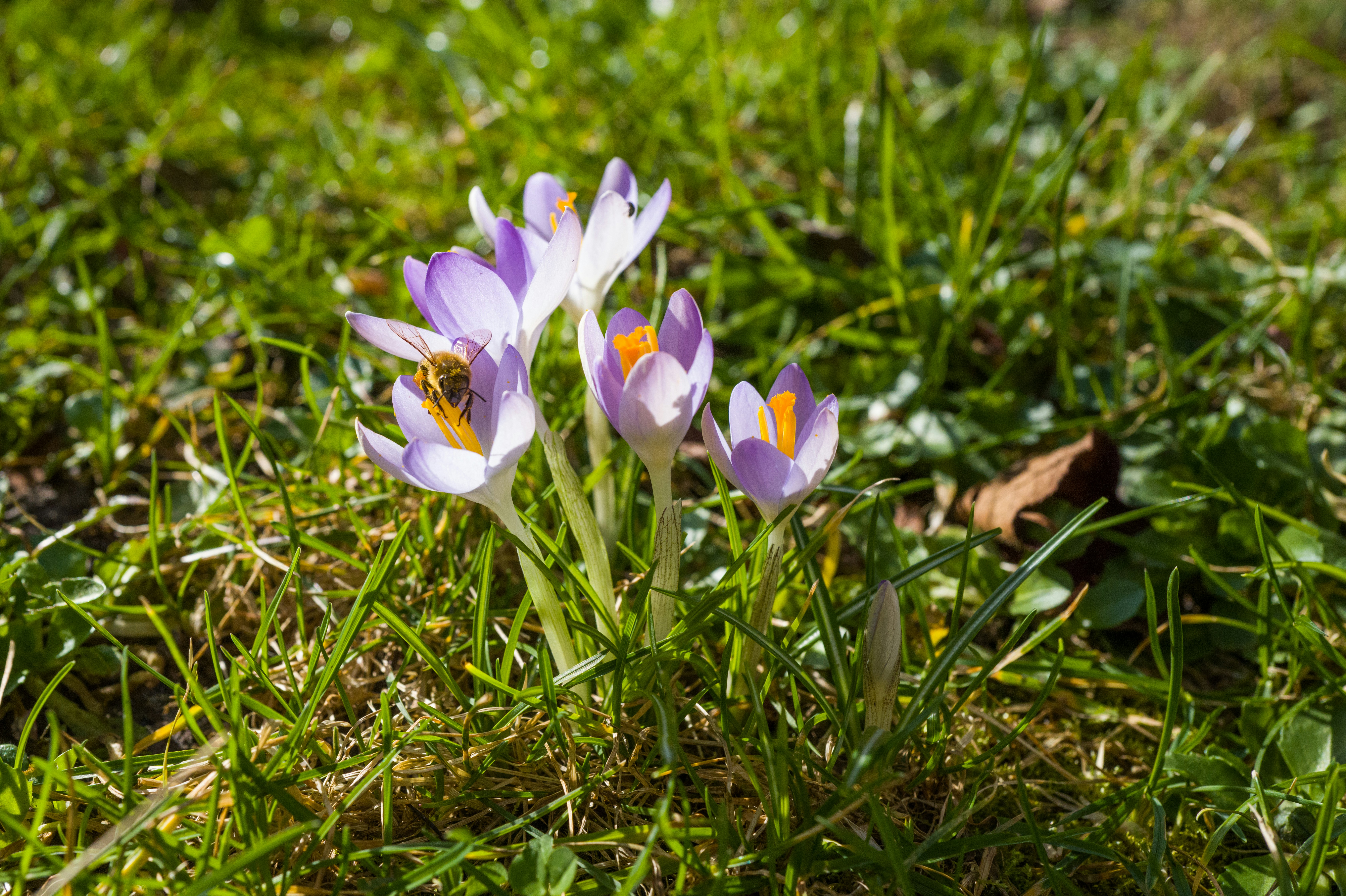 Photo by georgeiermann