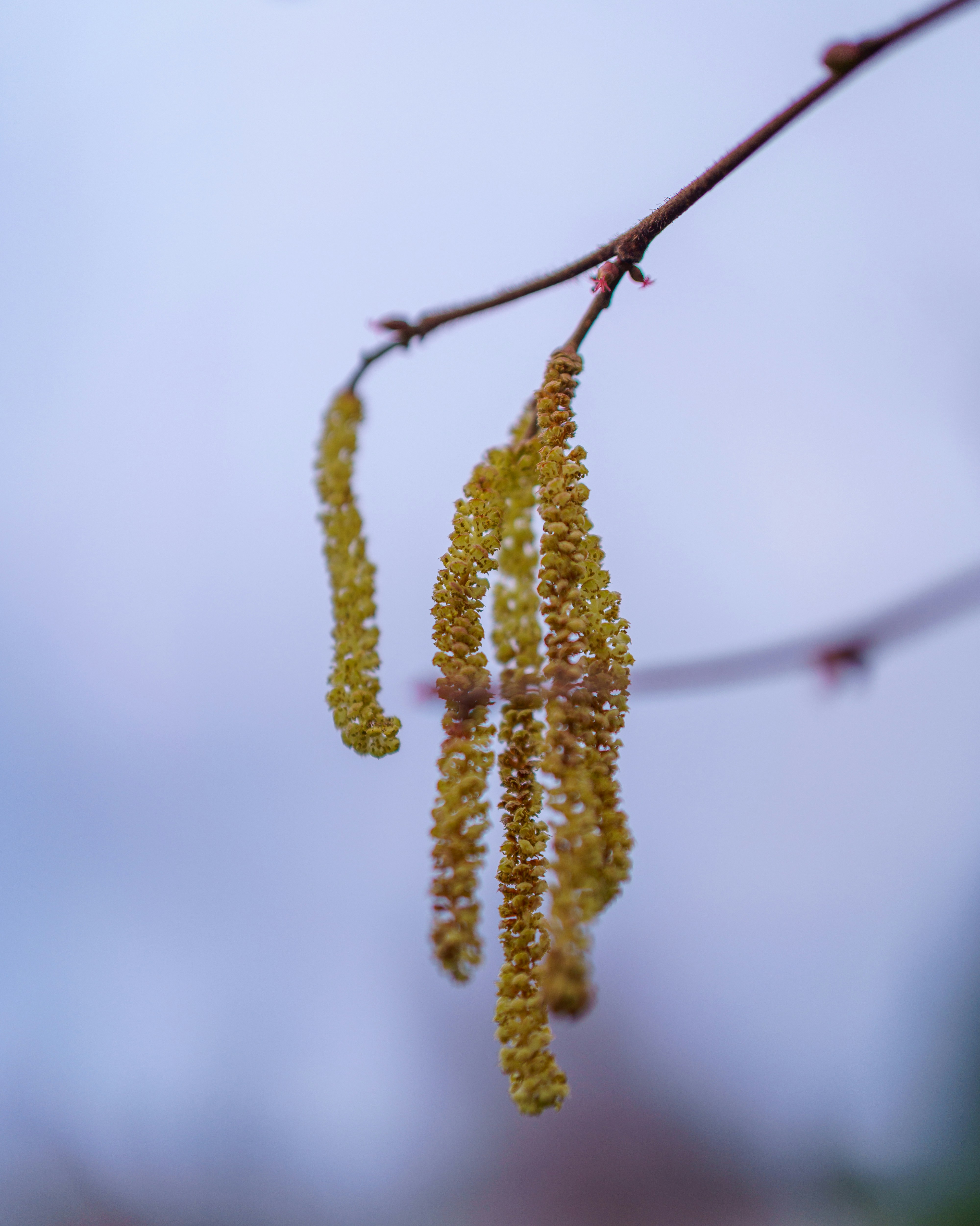 Photo by bangscreative