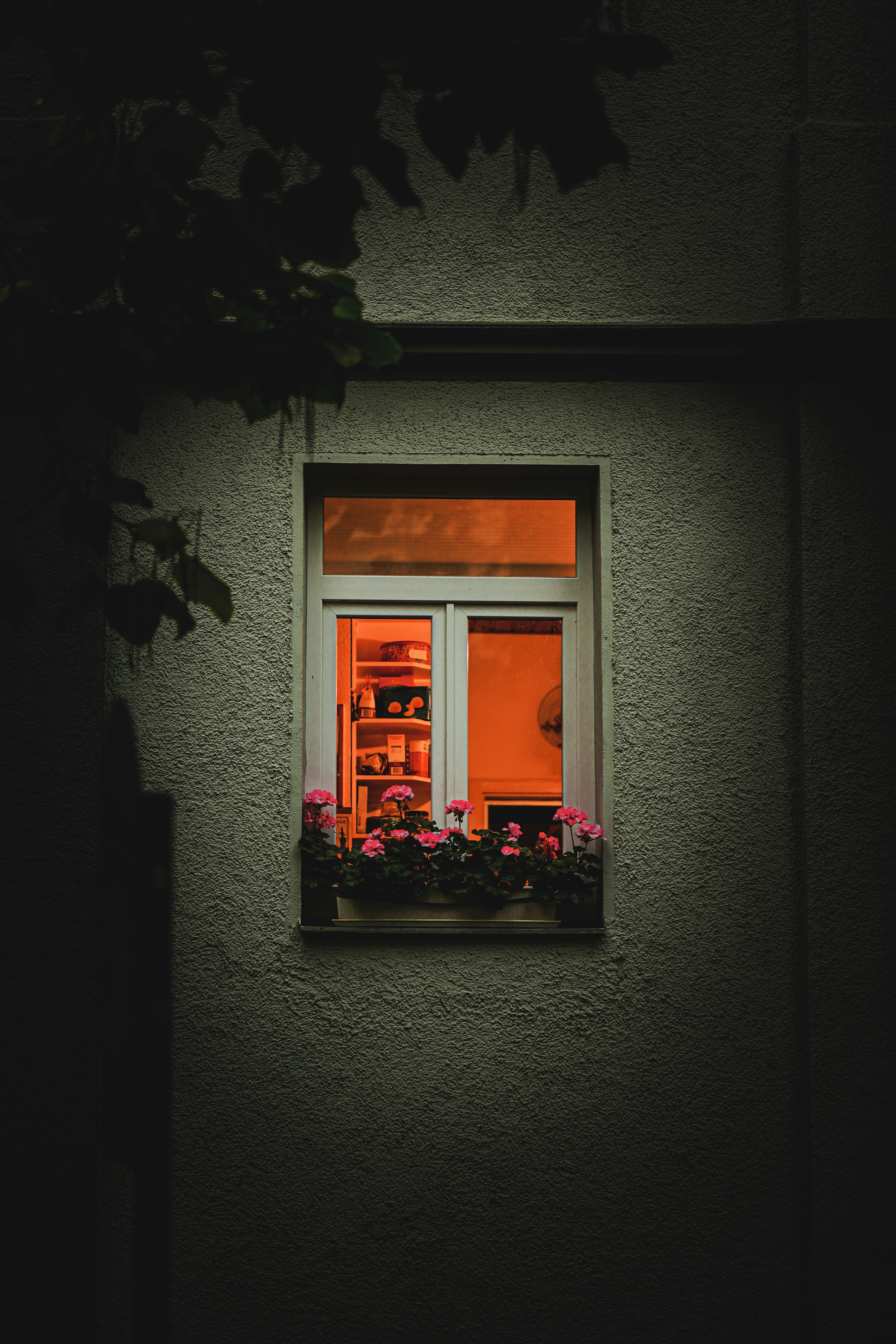 Photo by slavik92