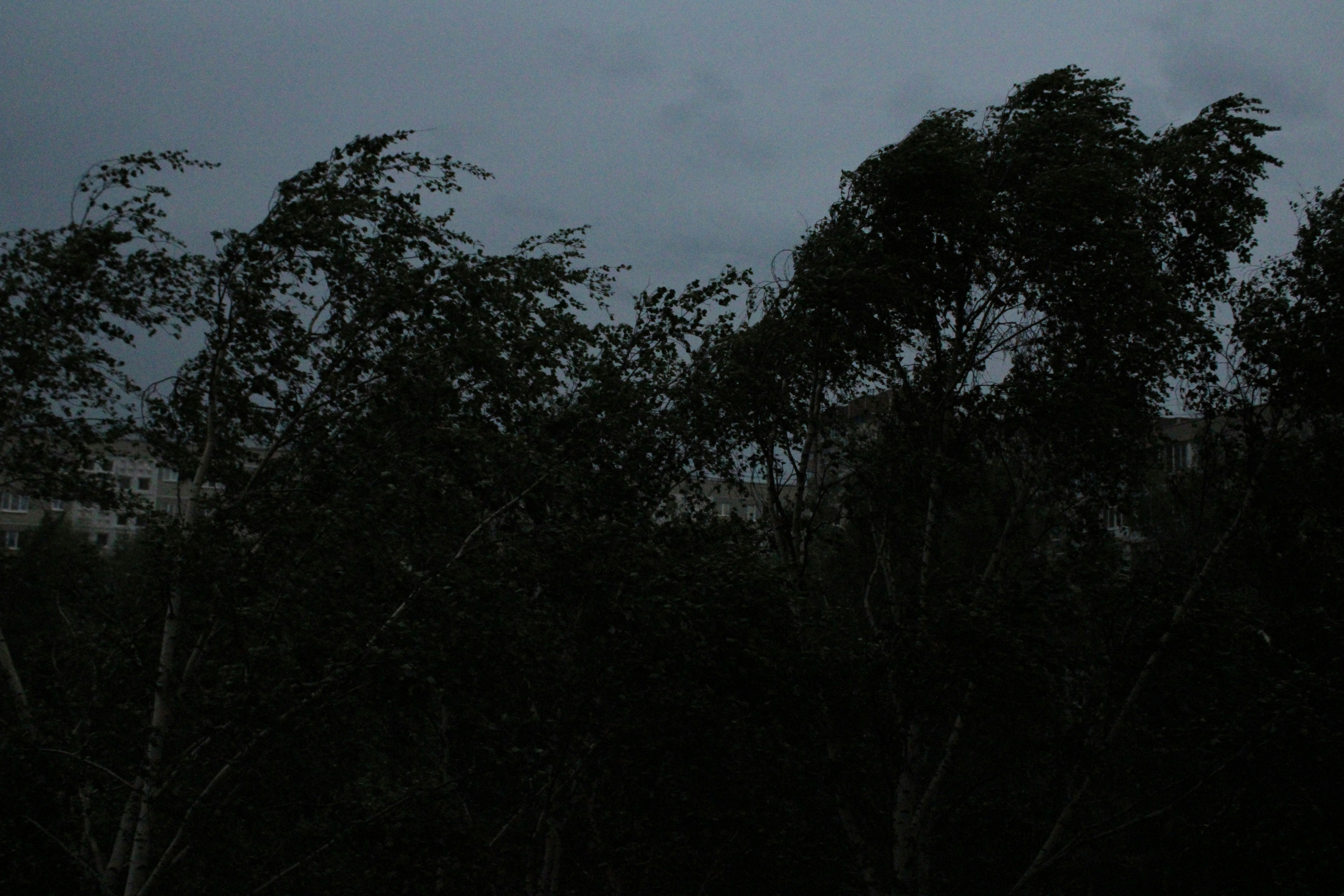 a view of a building through the trees at night
