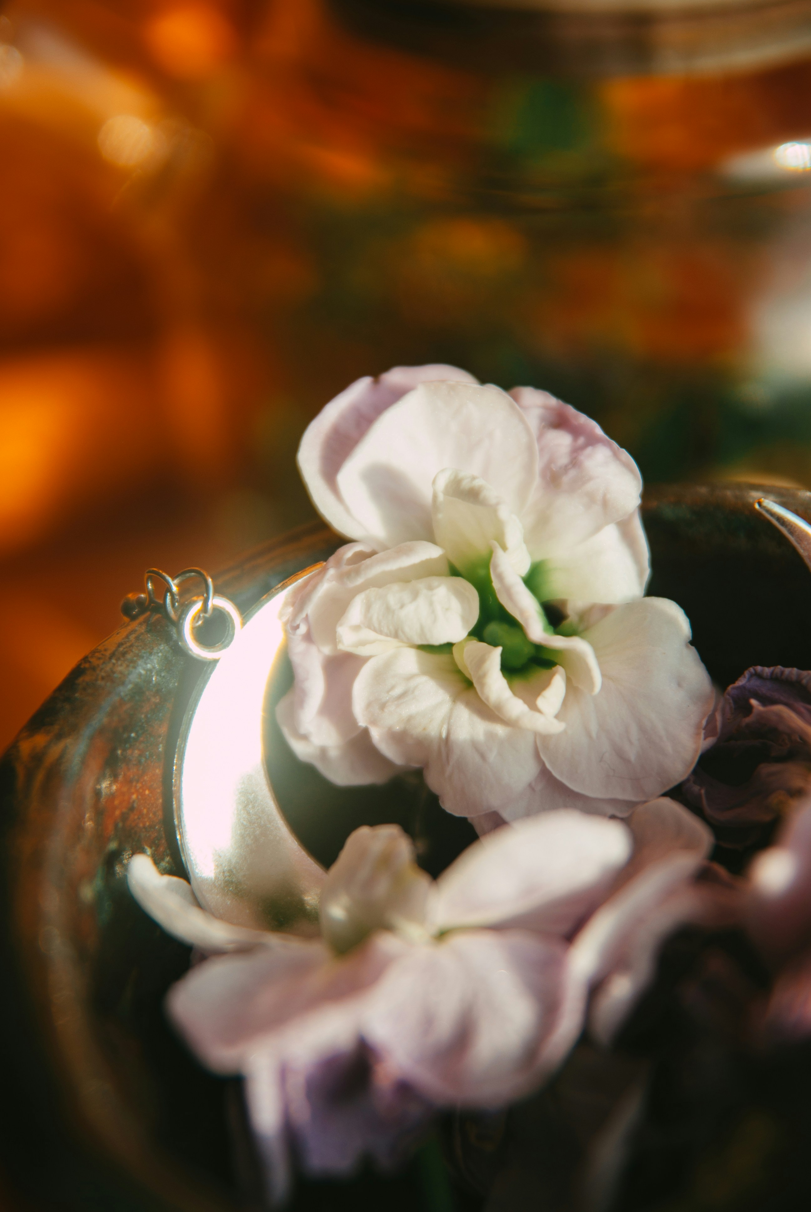 Photo by moonmoons_days