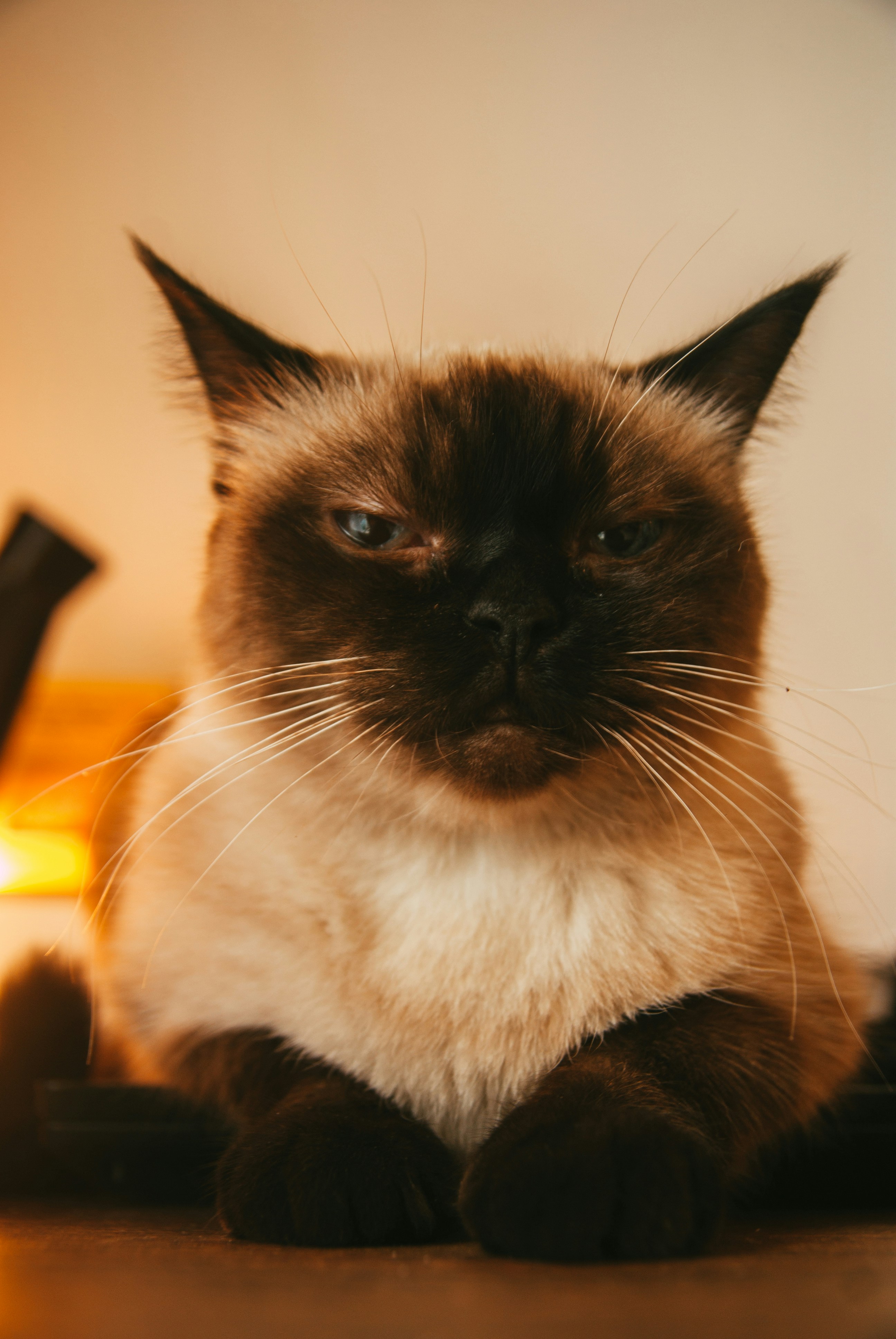 Photo by moonmoons_days