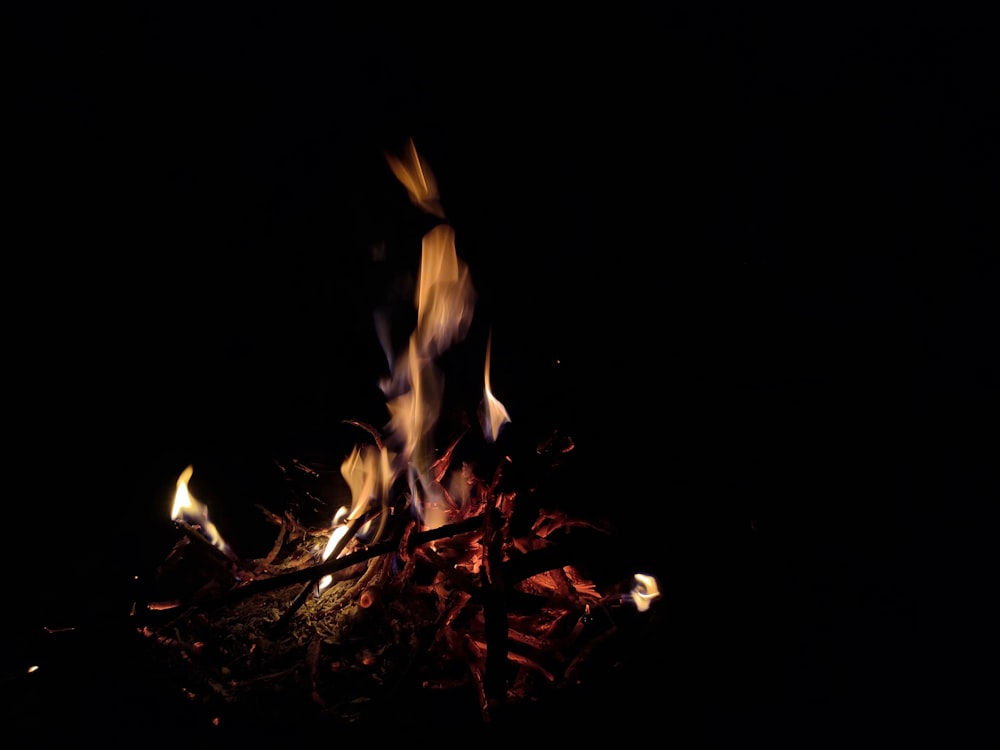 a close up of a fire in the dark