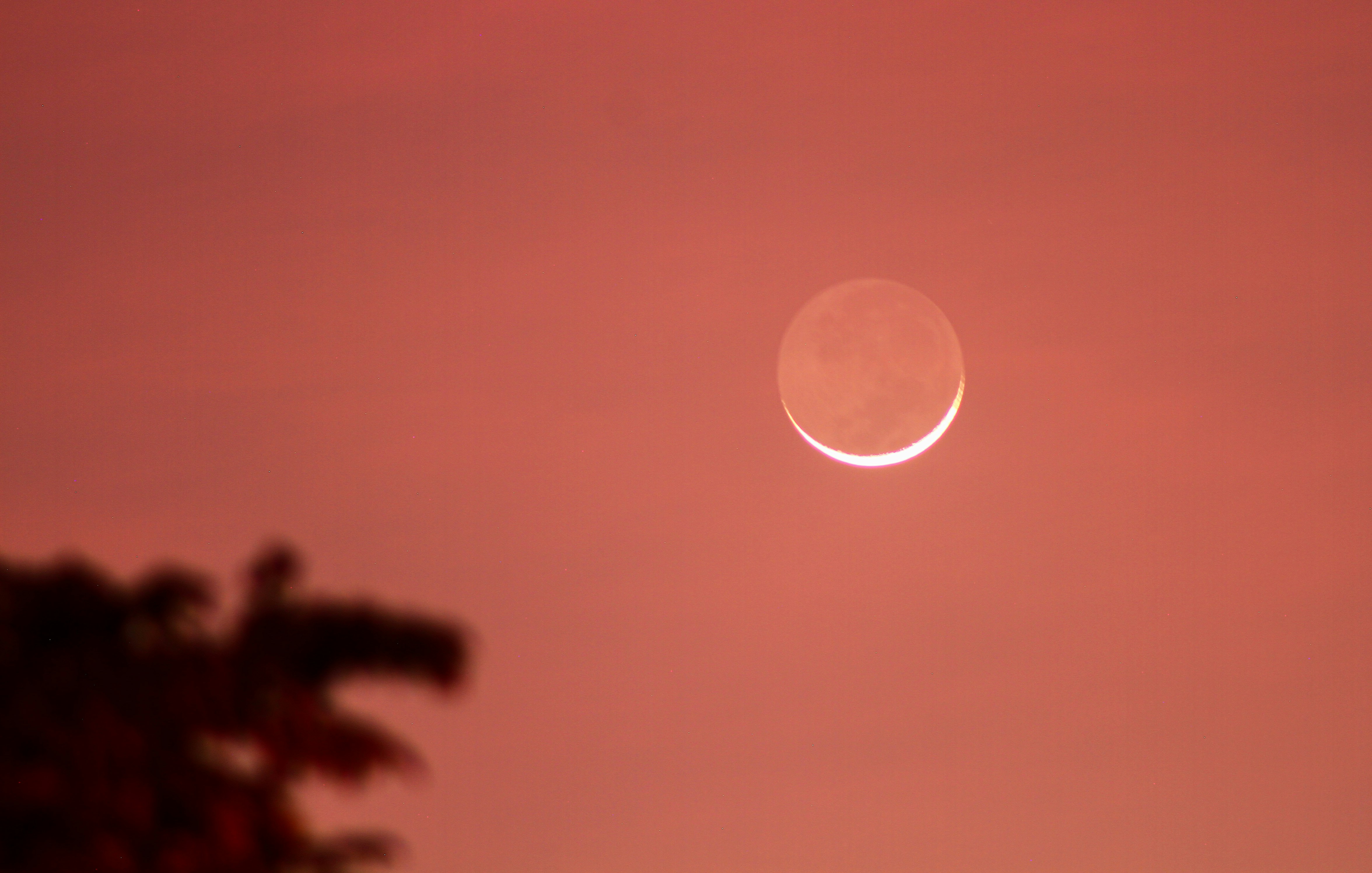 the moon is visible in the pink sky