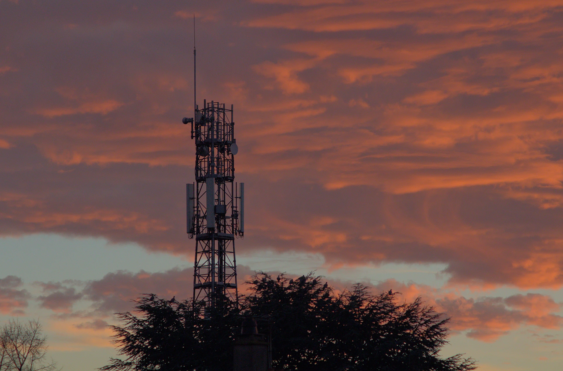 Telecom tower at sunset