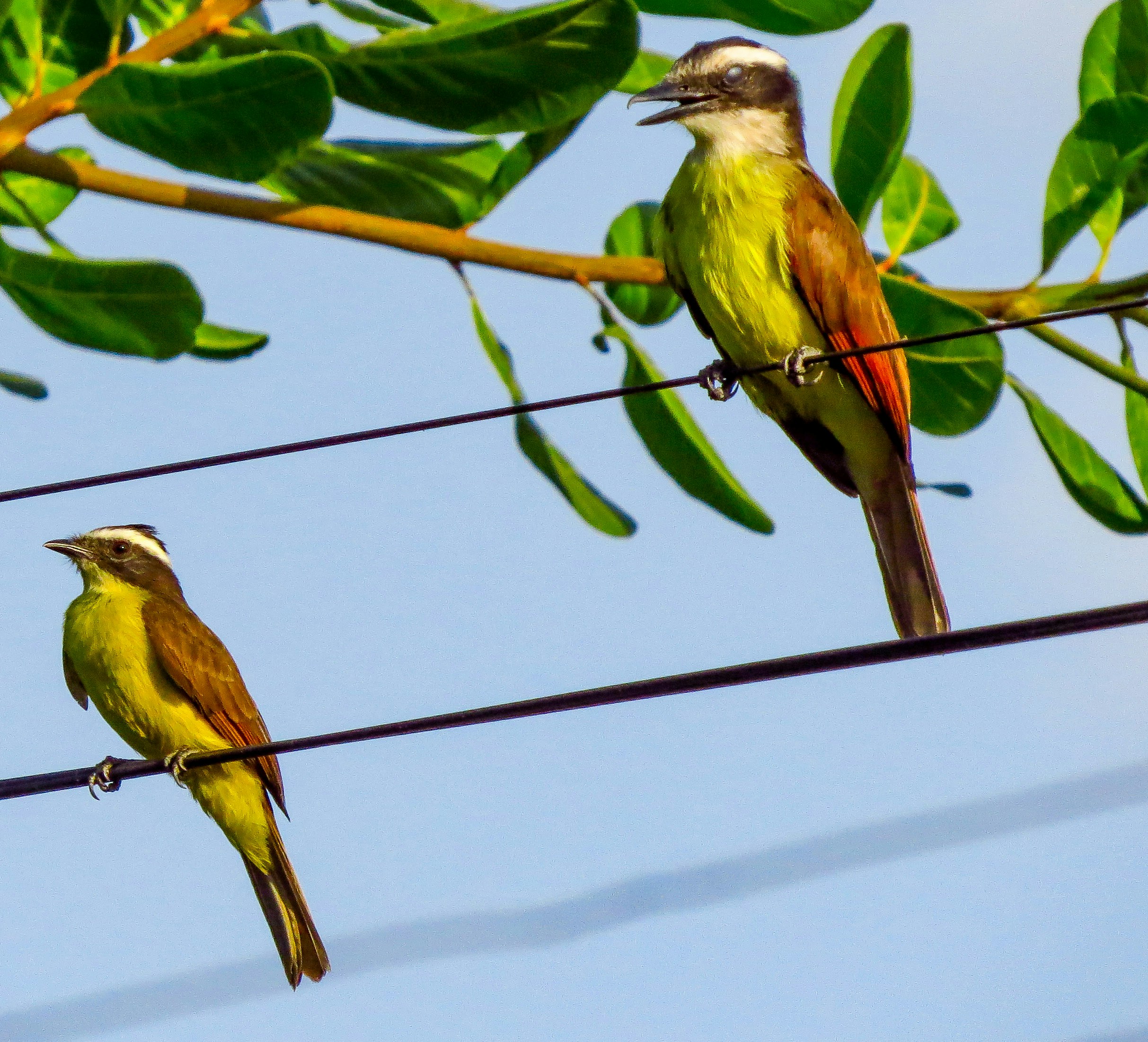 Photo by dienyportinanni