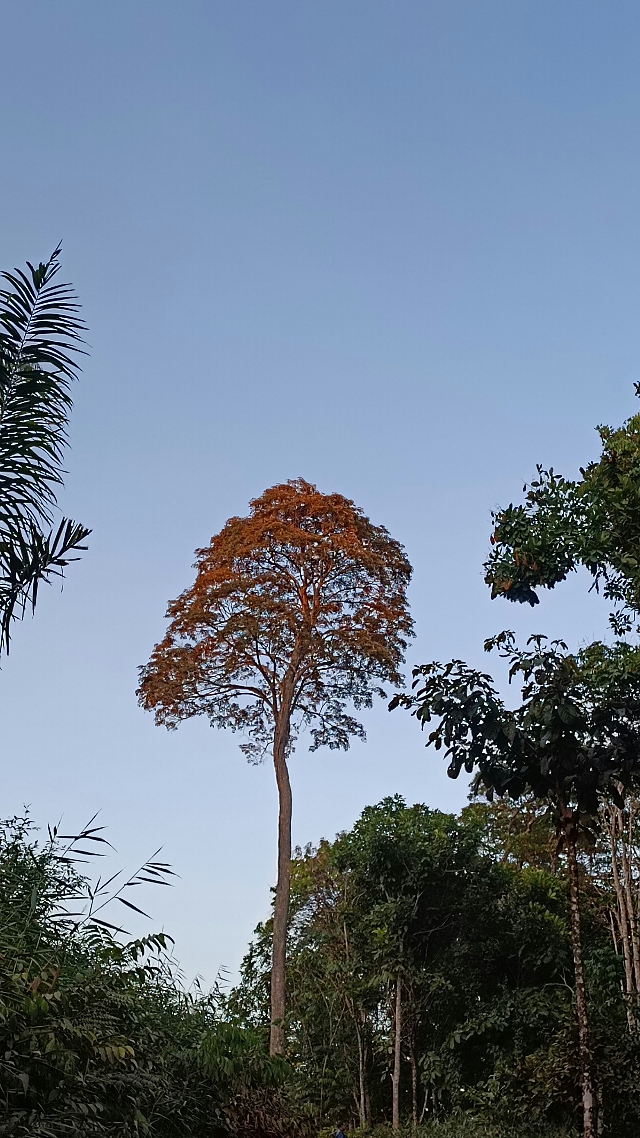 Photo by dienyportinanni