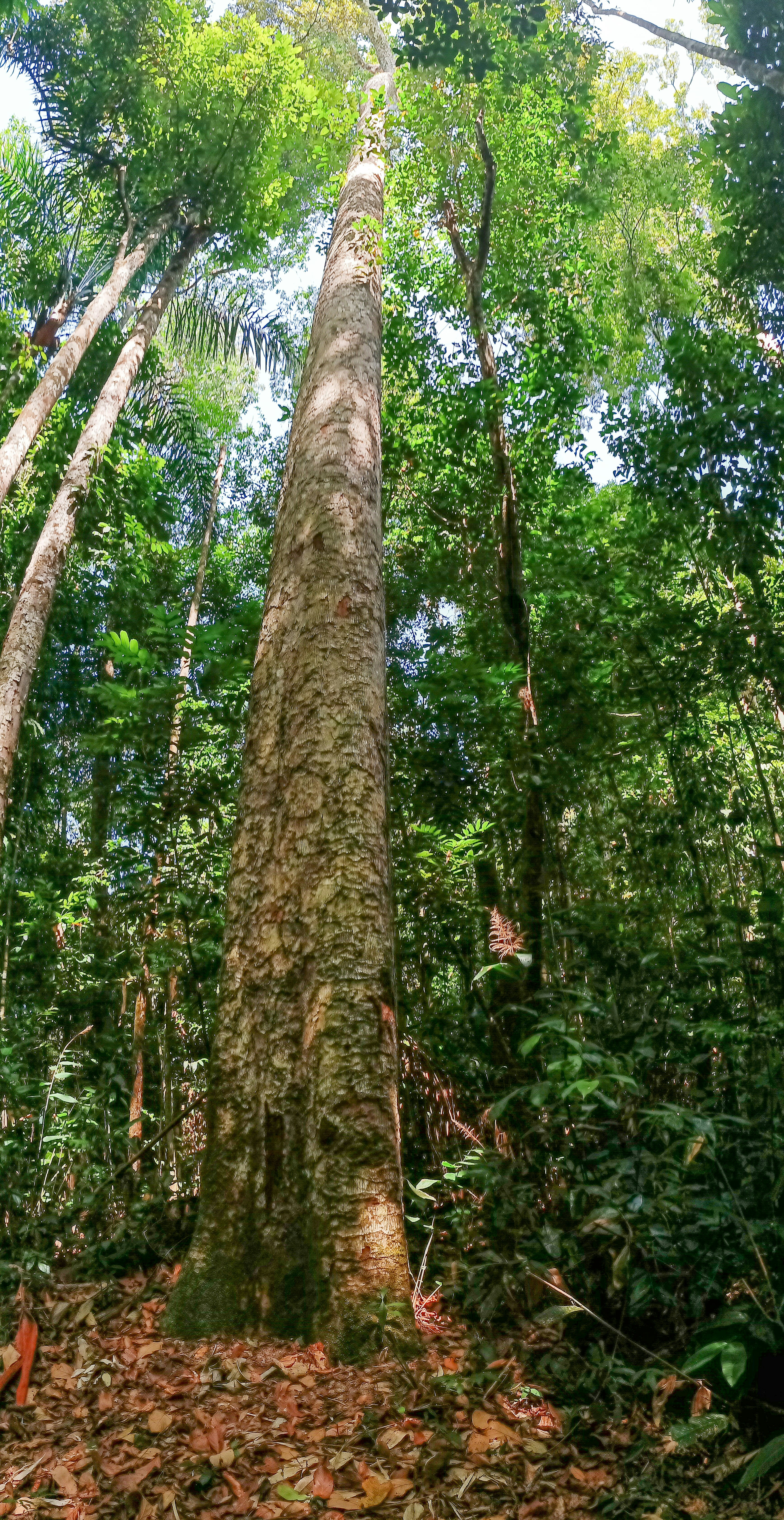 Photo by dienyportinanni