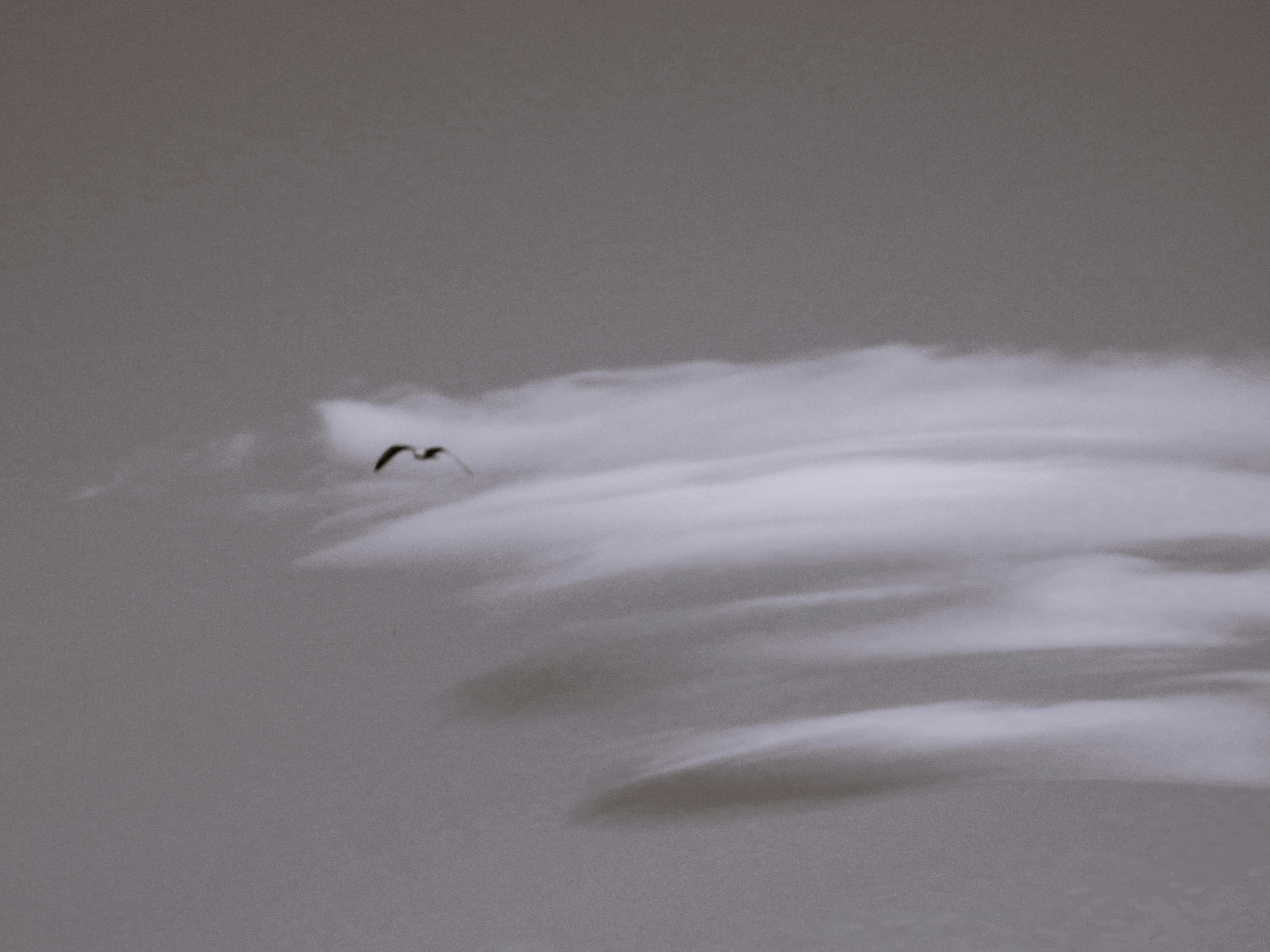 Photo by dominapetric