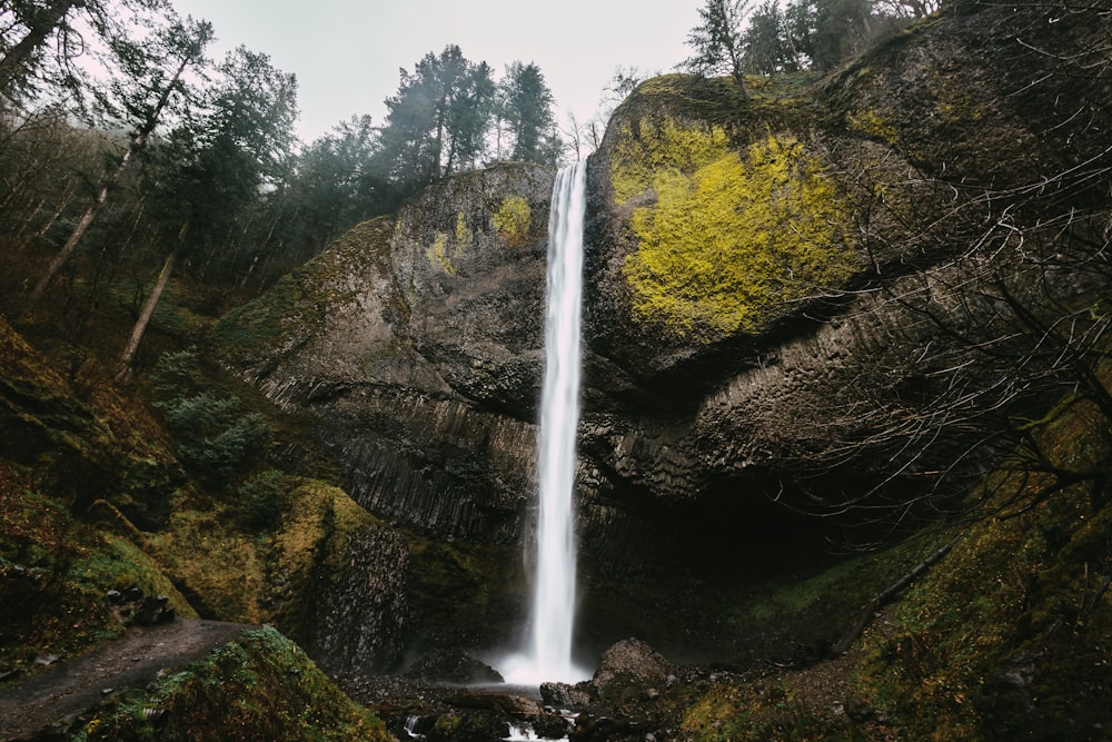 a tall waterfall in the middle of a forest