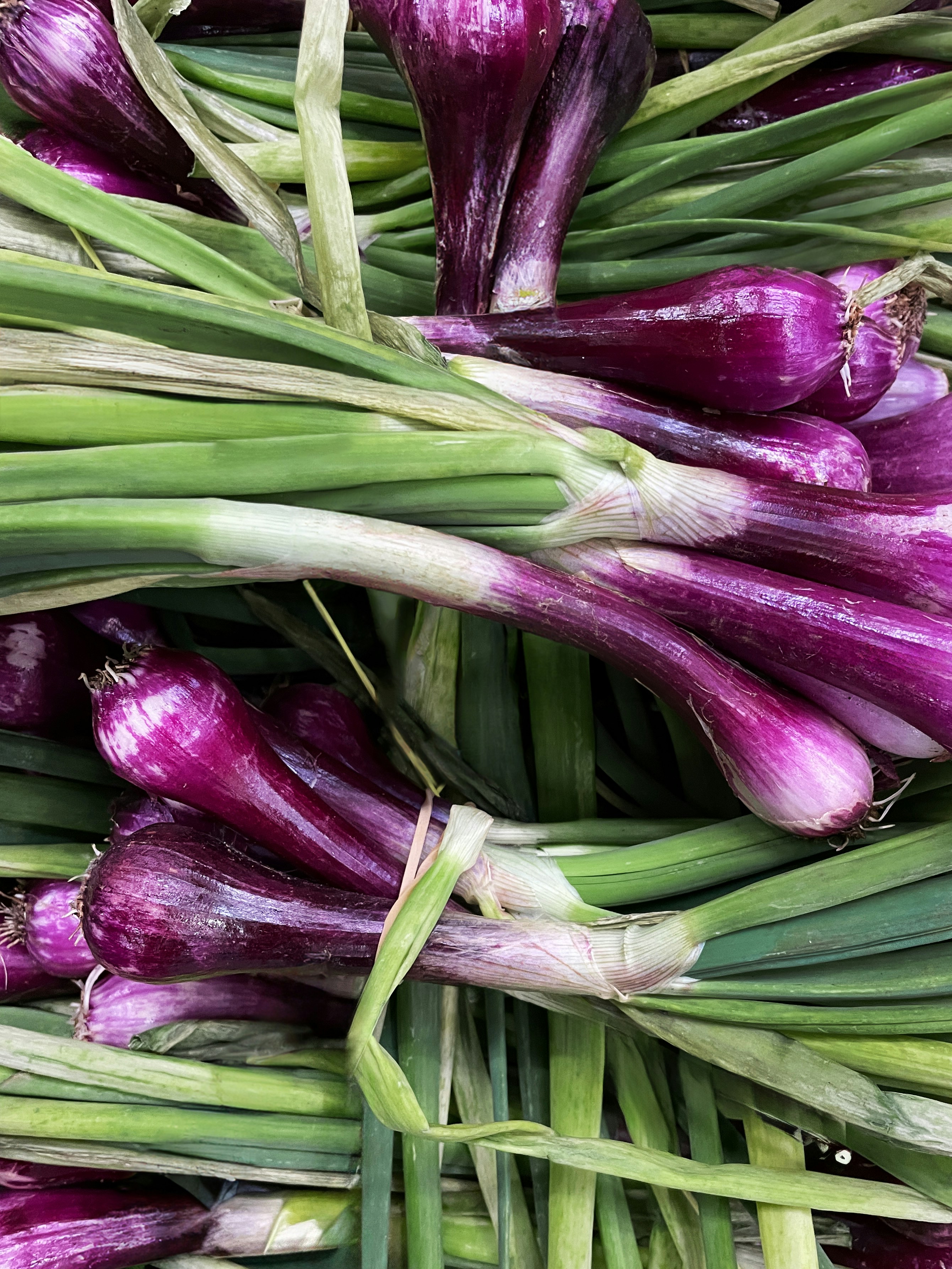 Photo by filipp_roman_photography