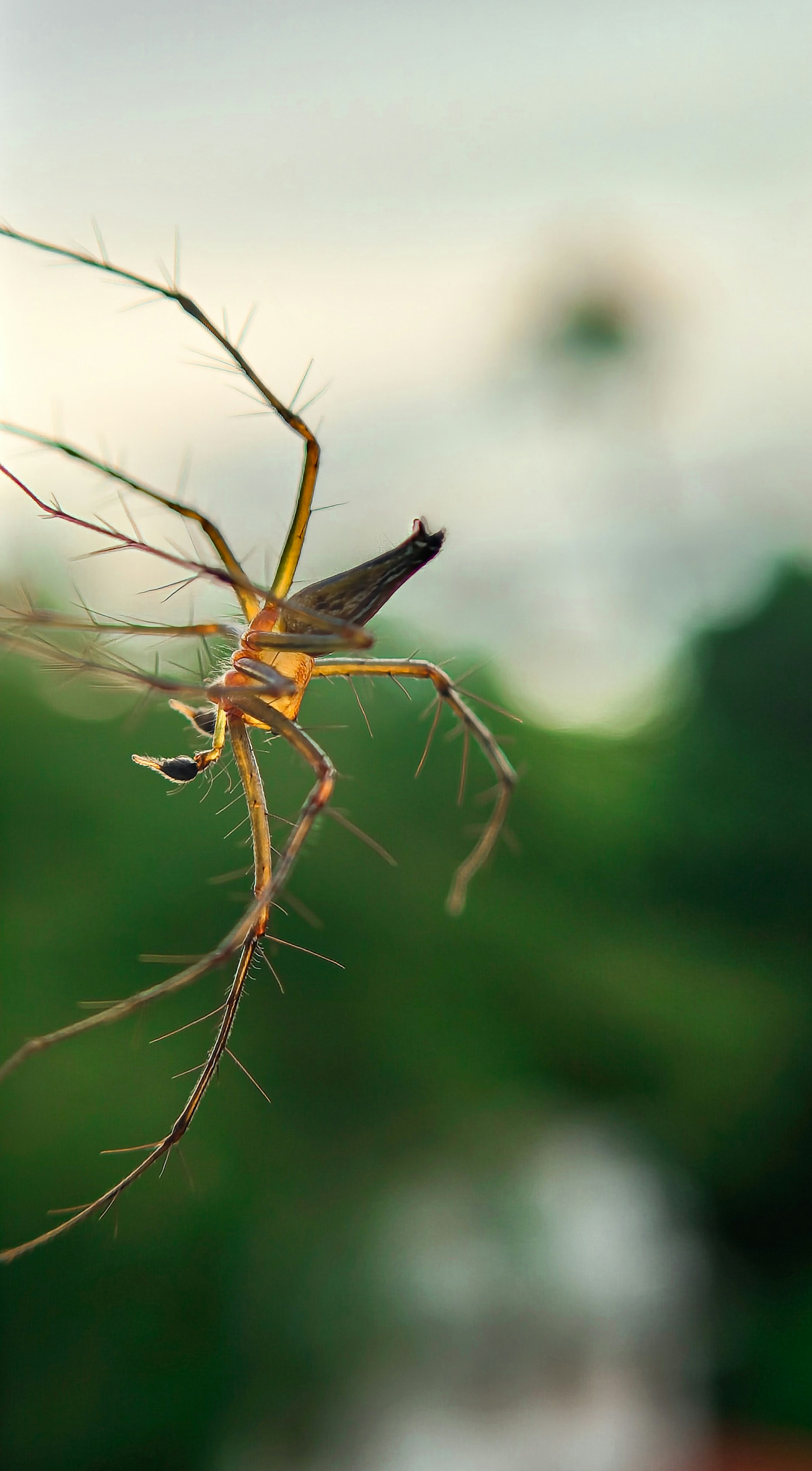 Photo by mr_pristine_