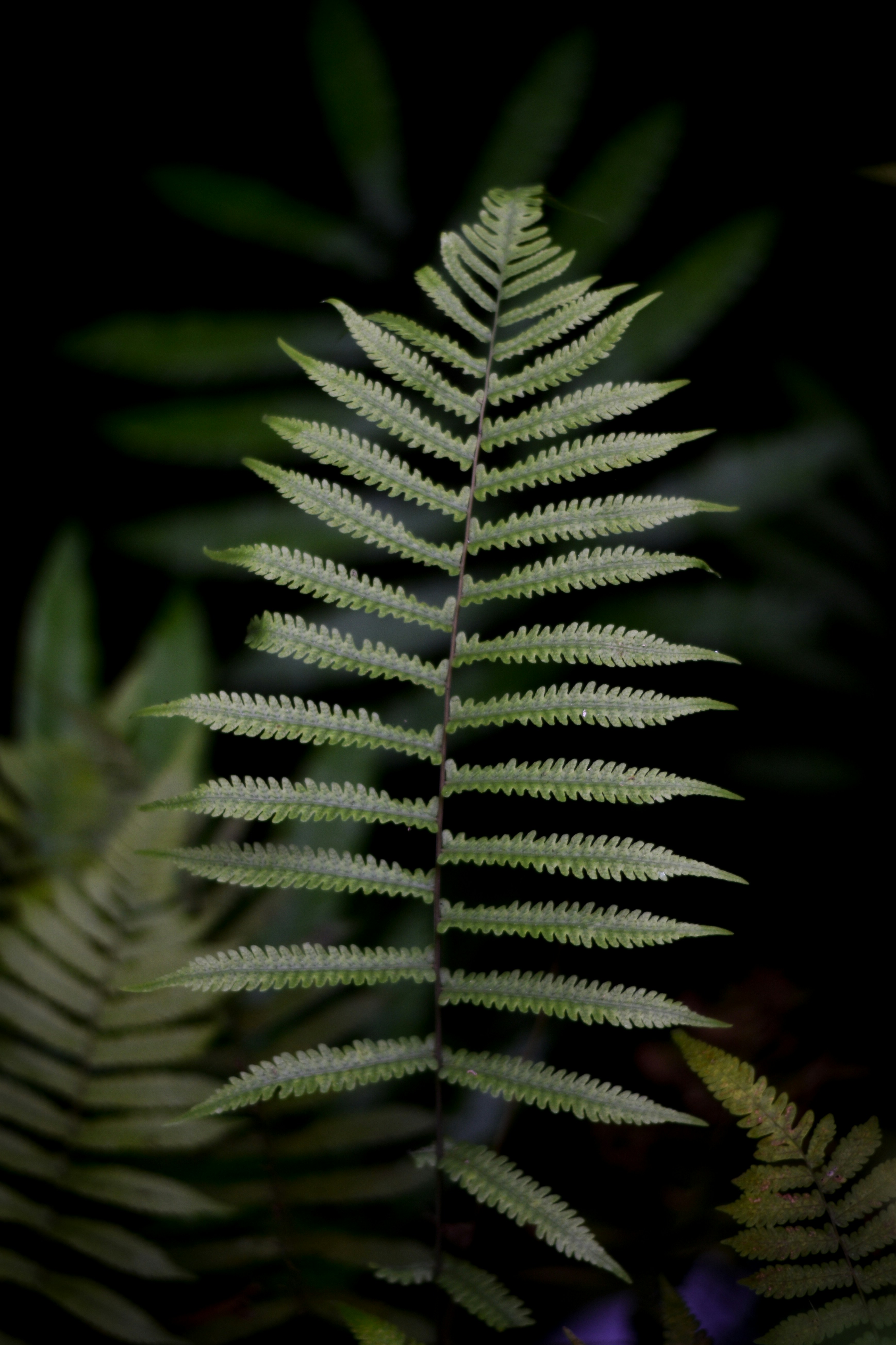 Photo by mr_pristine_