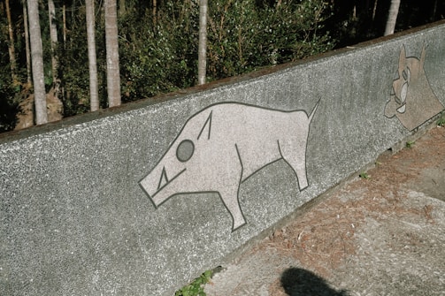 a concrete wall with a drawing of a pig on it
