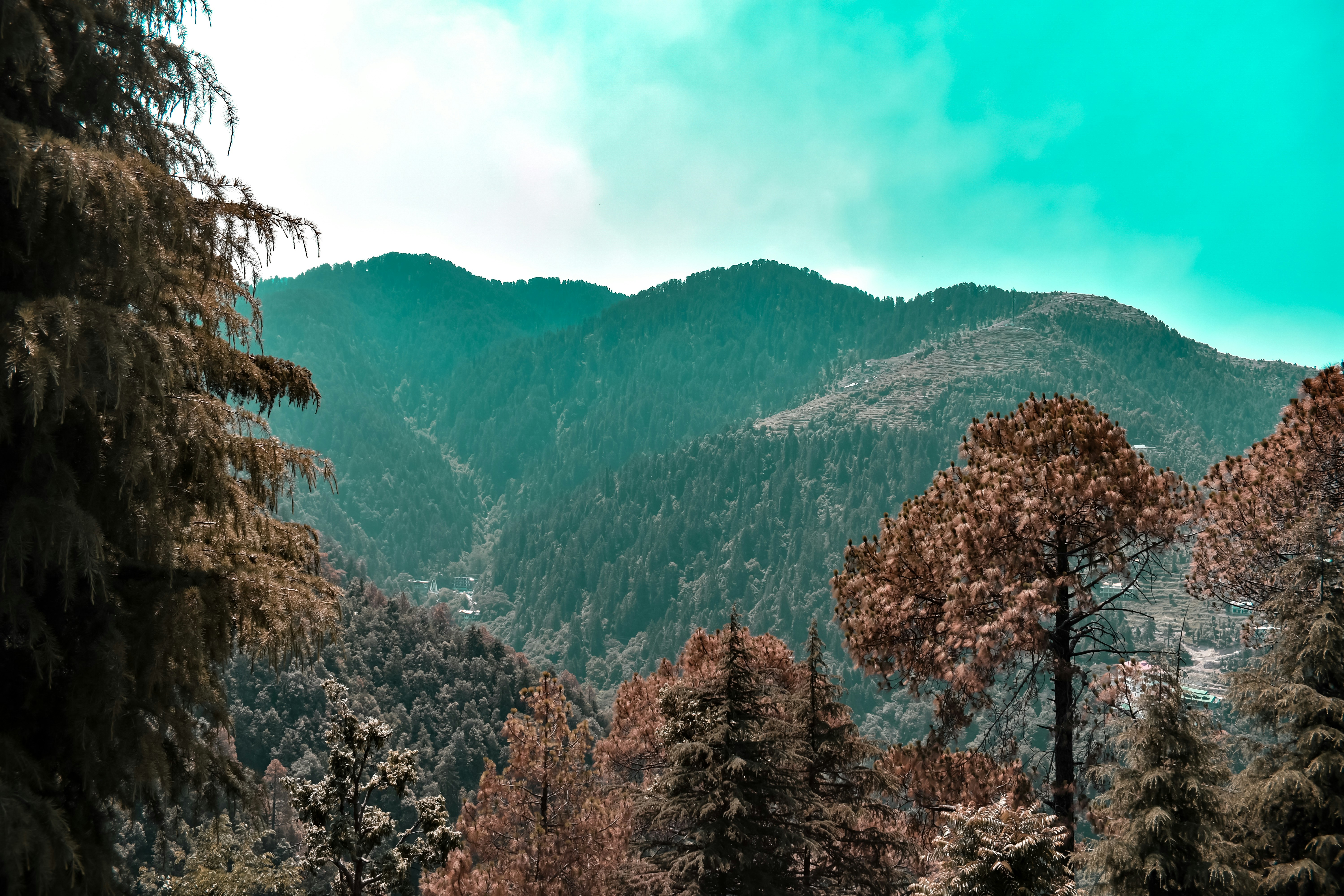 Photo by iamwanderingkhan