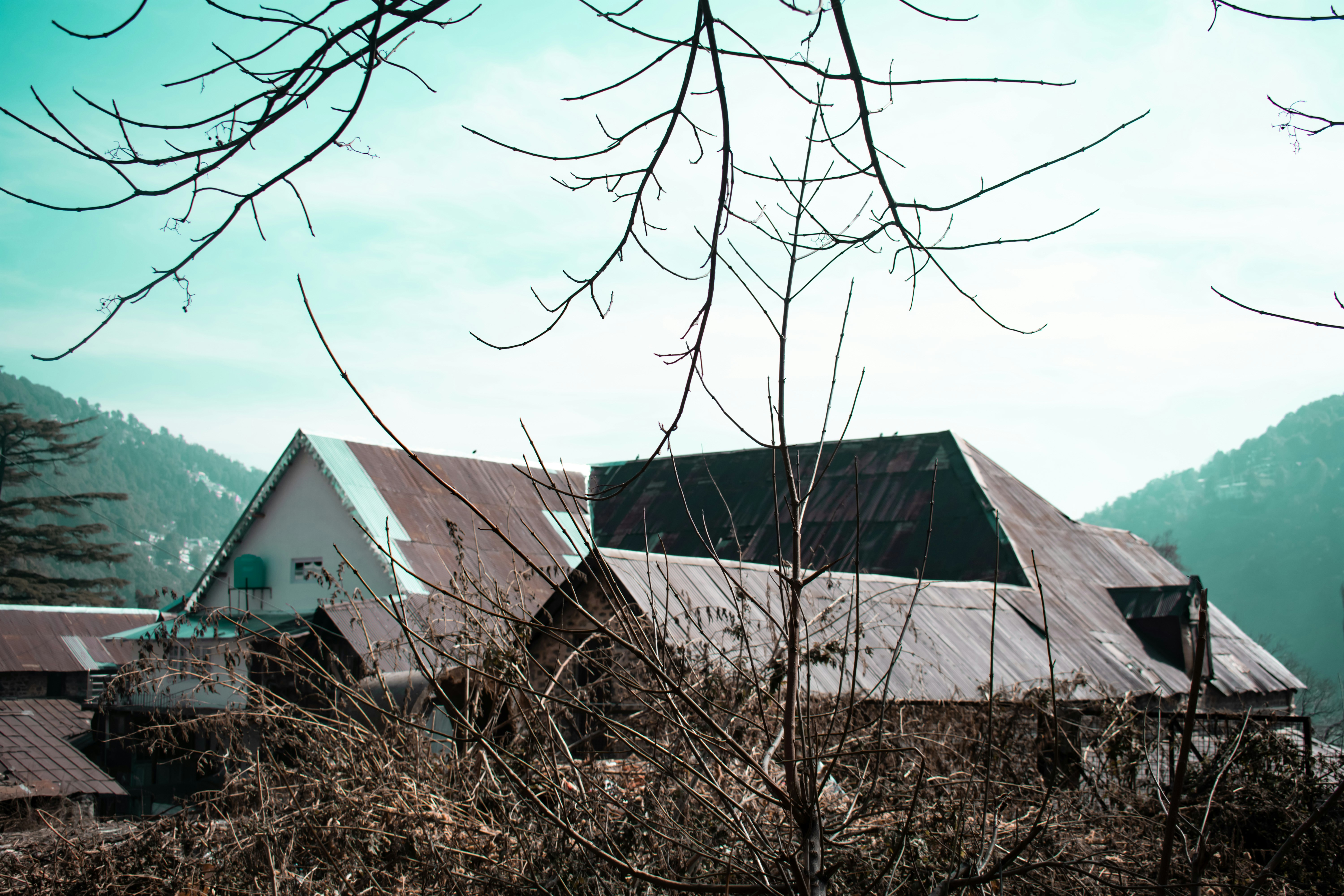 Photo by iamwanderingkhan