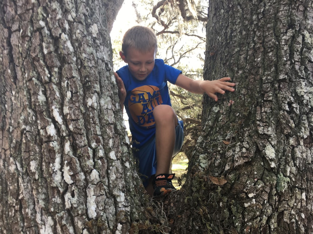 Un niño trepando a un árbol en un bosque