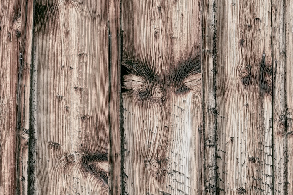 a close up of a wooden fence with a bird's eye