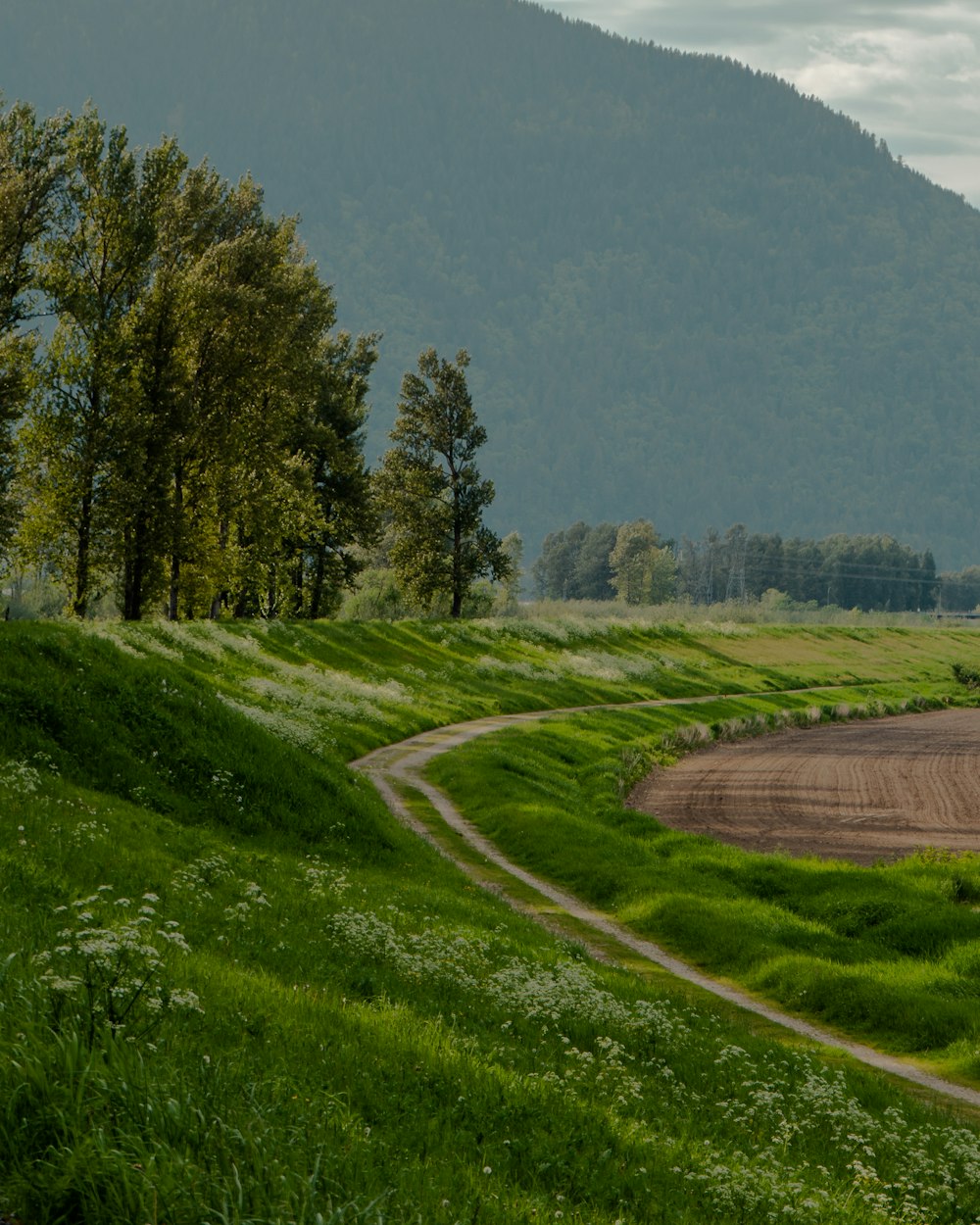 a dirt road winding through a lush green field