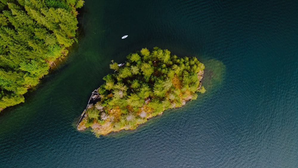 a small island in the middle of a body of water