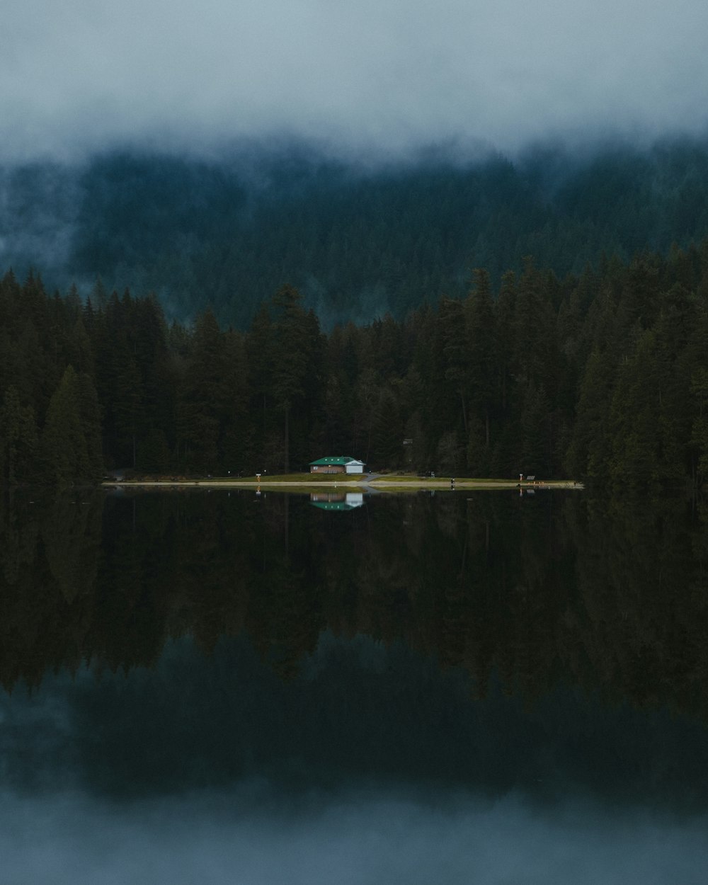 a body of water surrounded by a forest