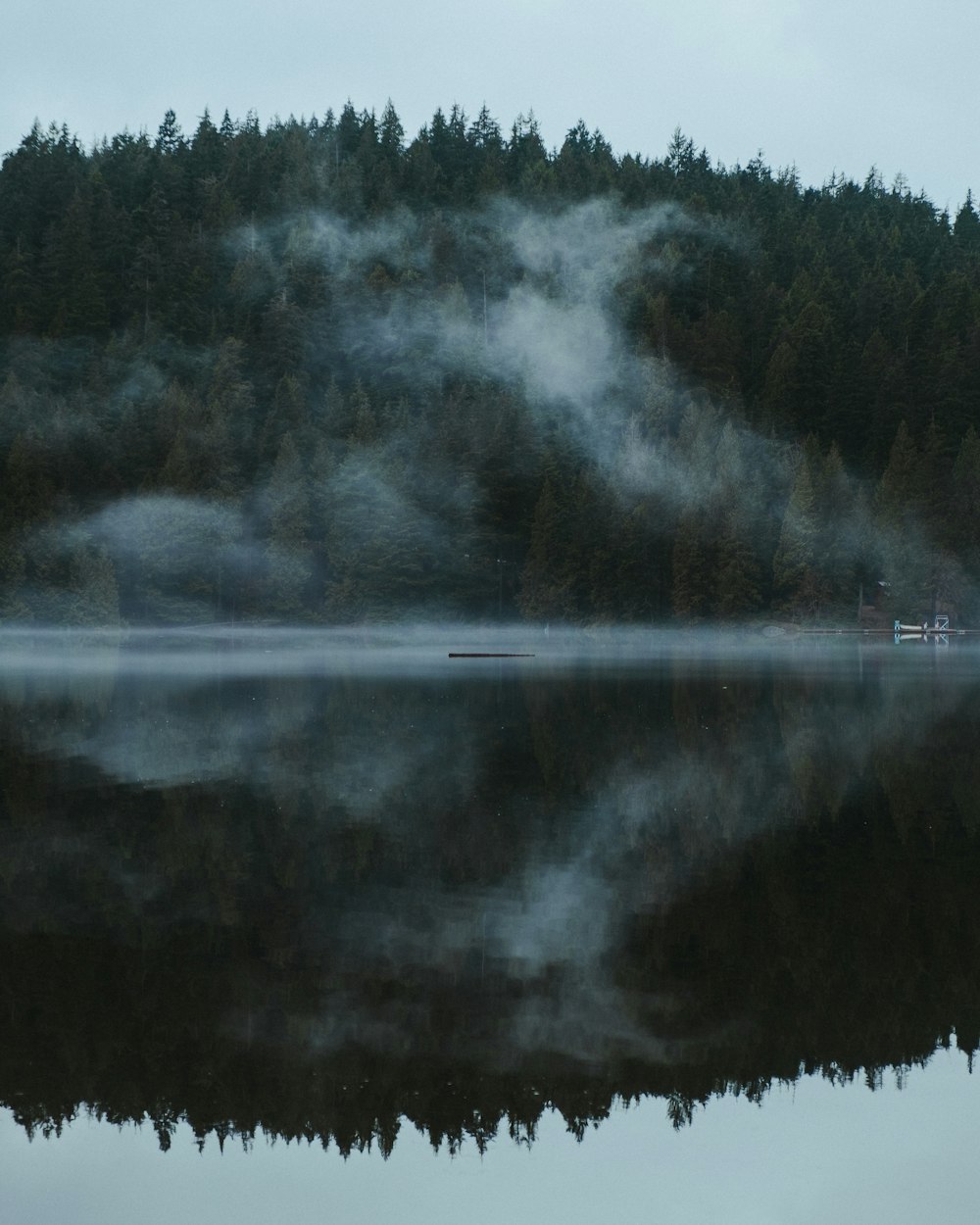 a body of water surrounded by a forest