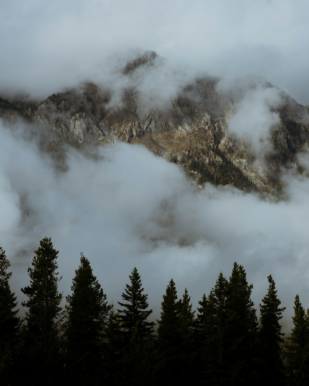 a mountain covered in clouds and trees on a cloudy day