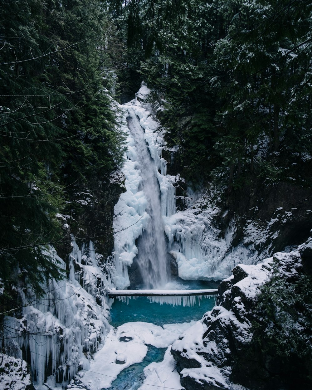 a frozen waterfall in the middle of a forest