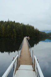 a dock on a lake with trees in the background