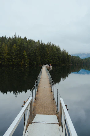 a dock on a lake with trees in the background