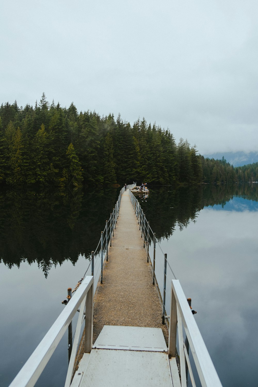 a dock on a lake with trees in the background