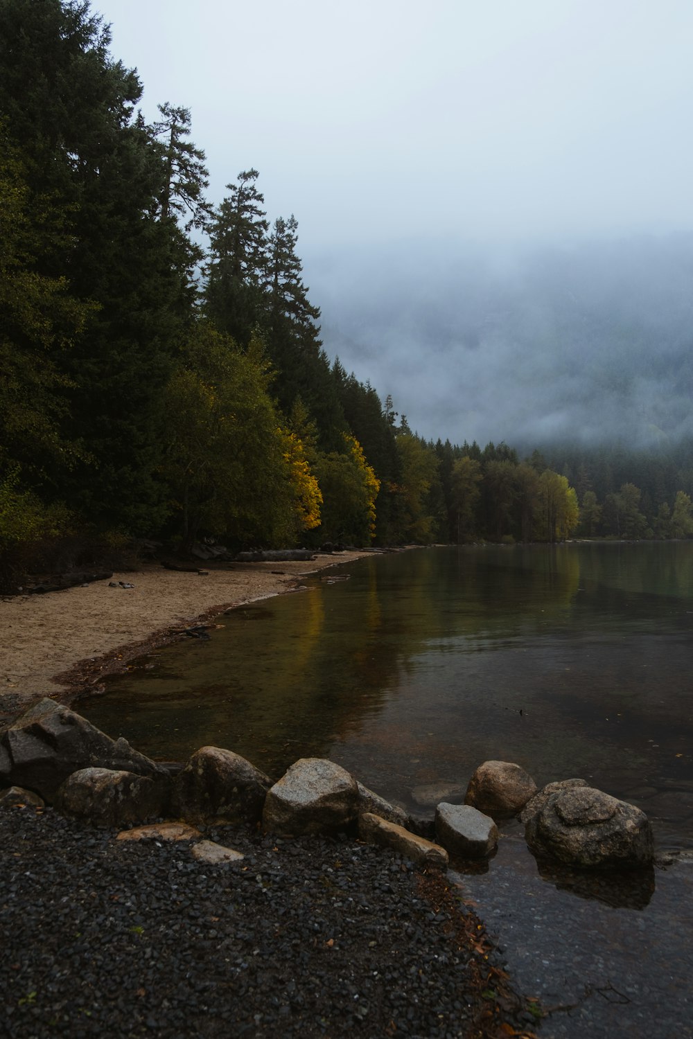 a body of water surrounded by trees and rocks