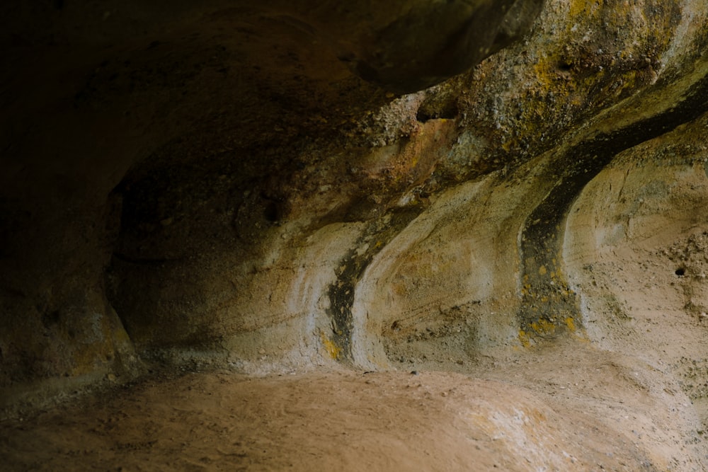 a sheep standing in the middle of a cave