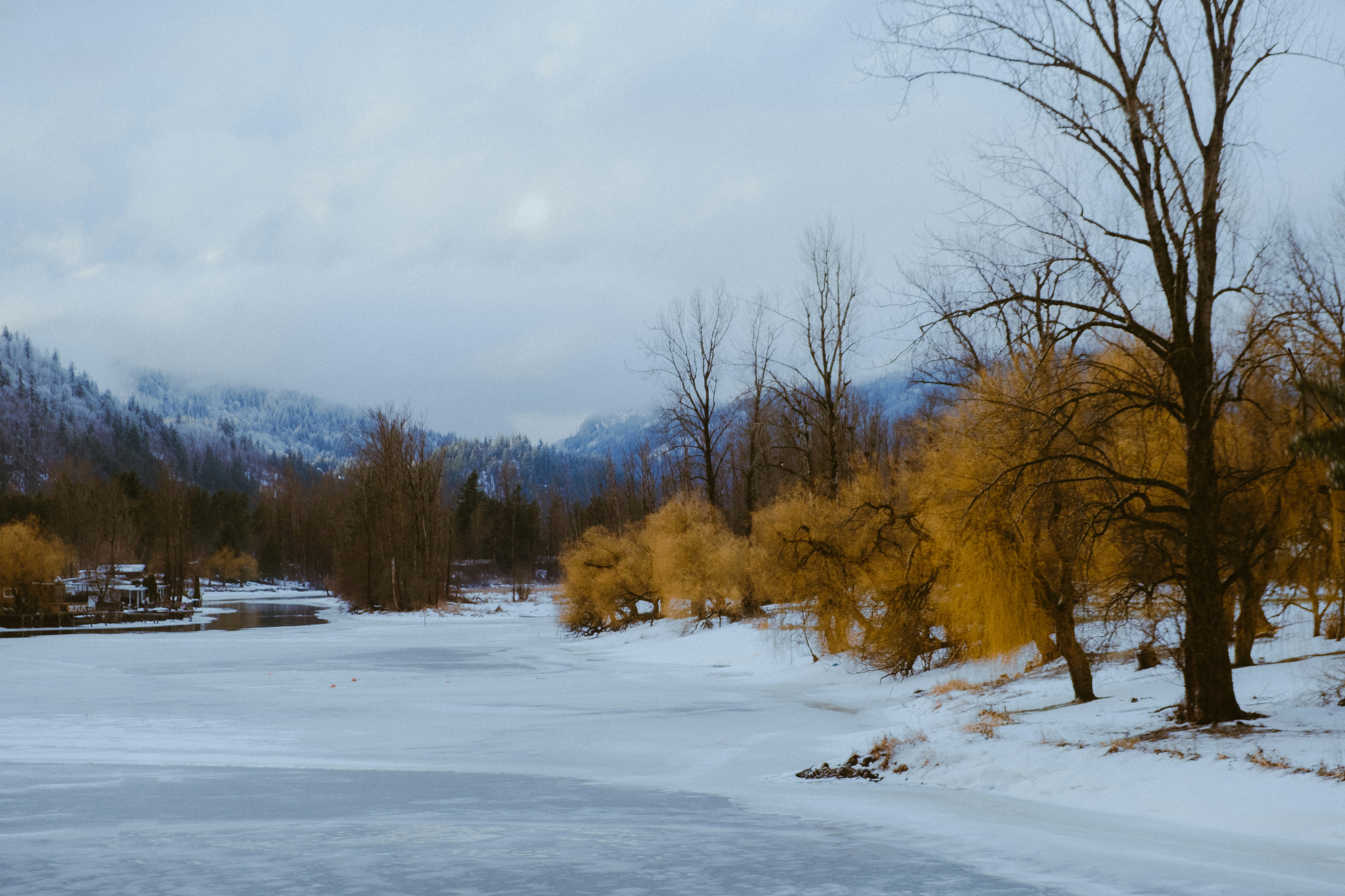 a frozen lake surrounded by trees and mountains
