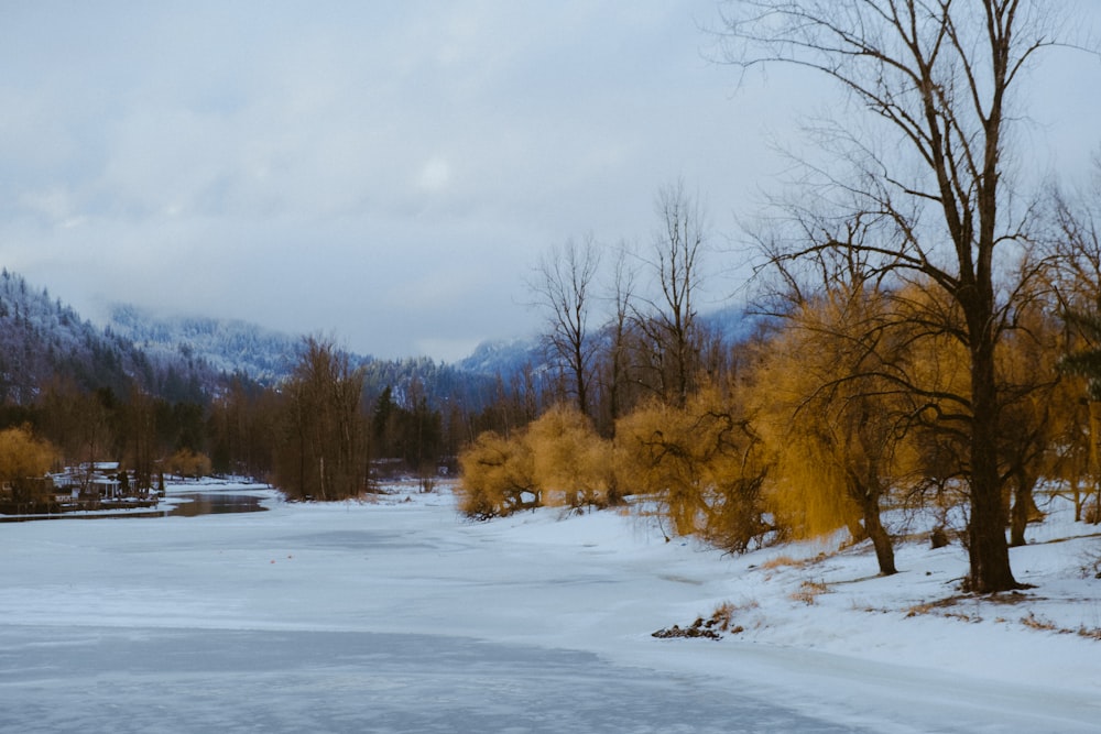 a frozen lake surrounded by trees and mountains