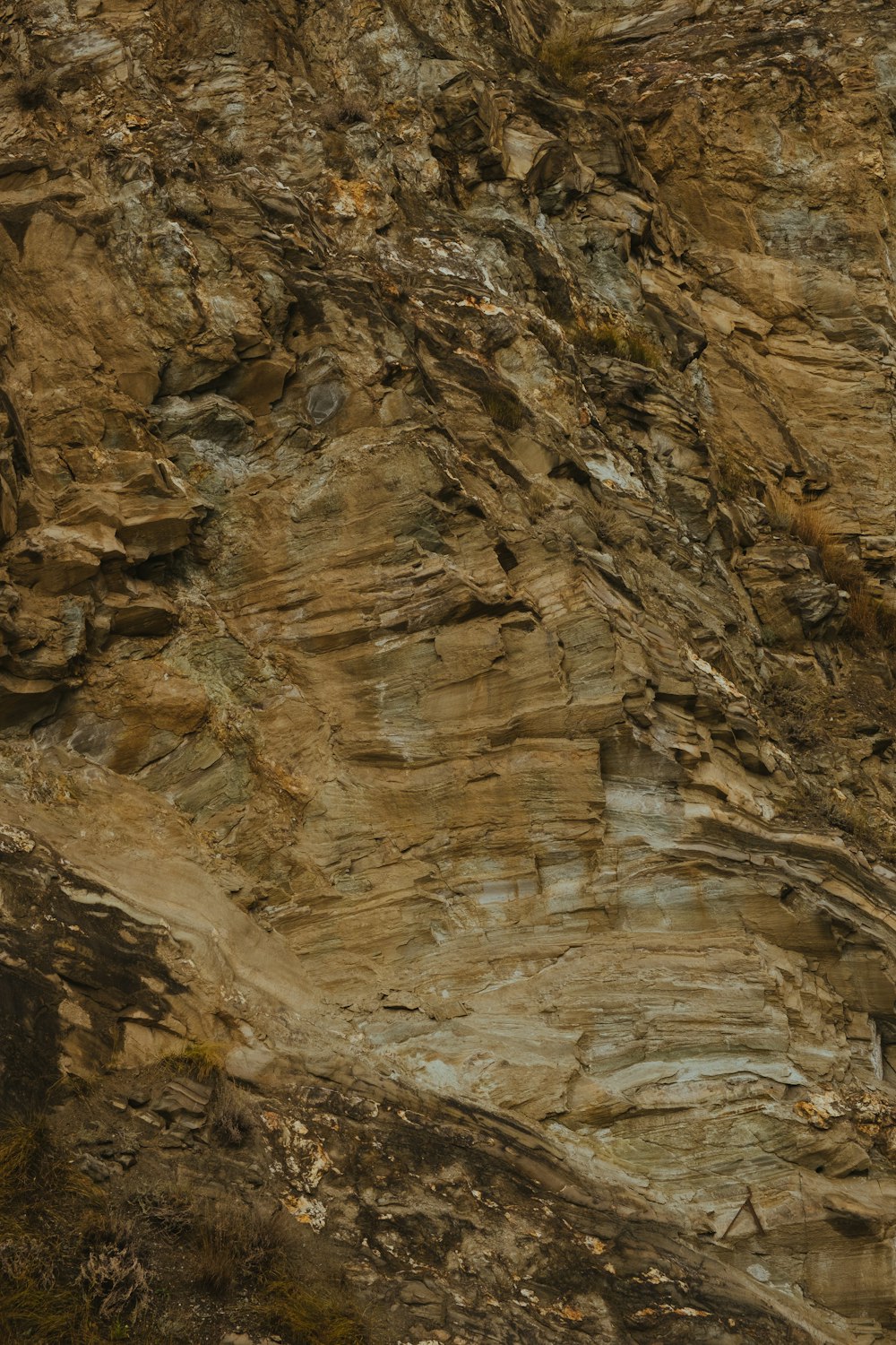 a bird is perched on a rock face