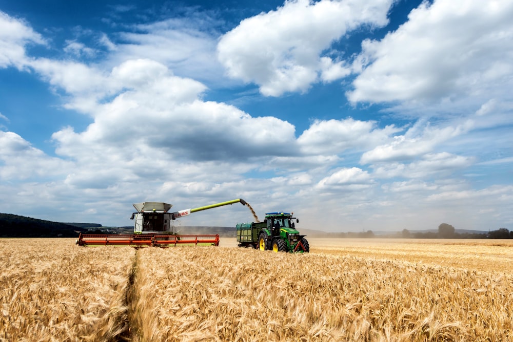 a tractor and a combine in a wheat field