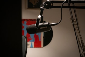 a microphone in front of a mirror in a room