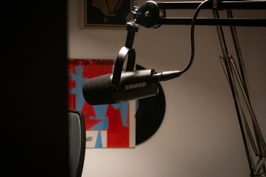 a microphone in front of a mirror in a room,