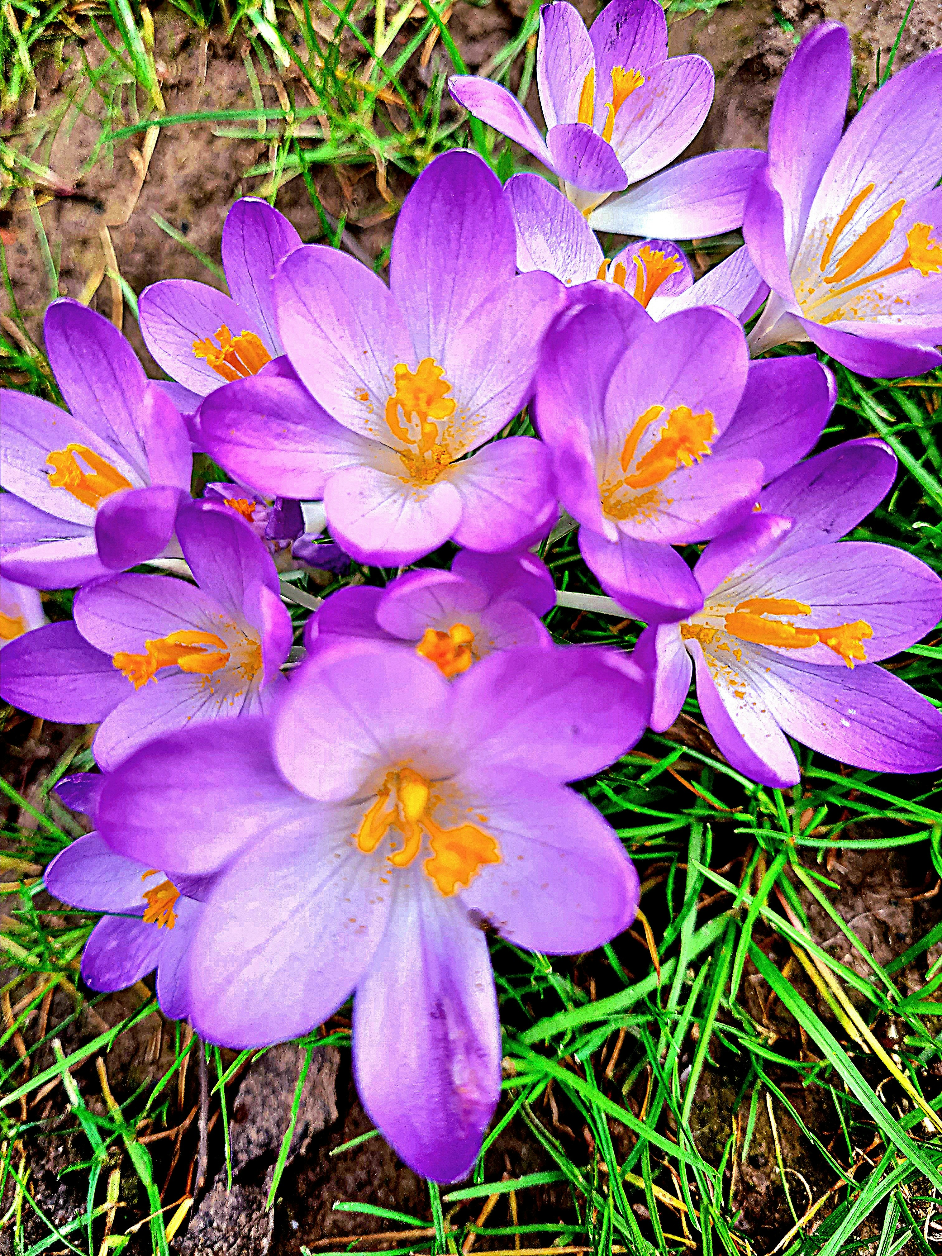 Photo by novo_aspectu