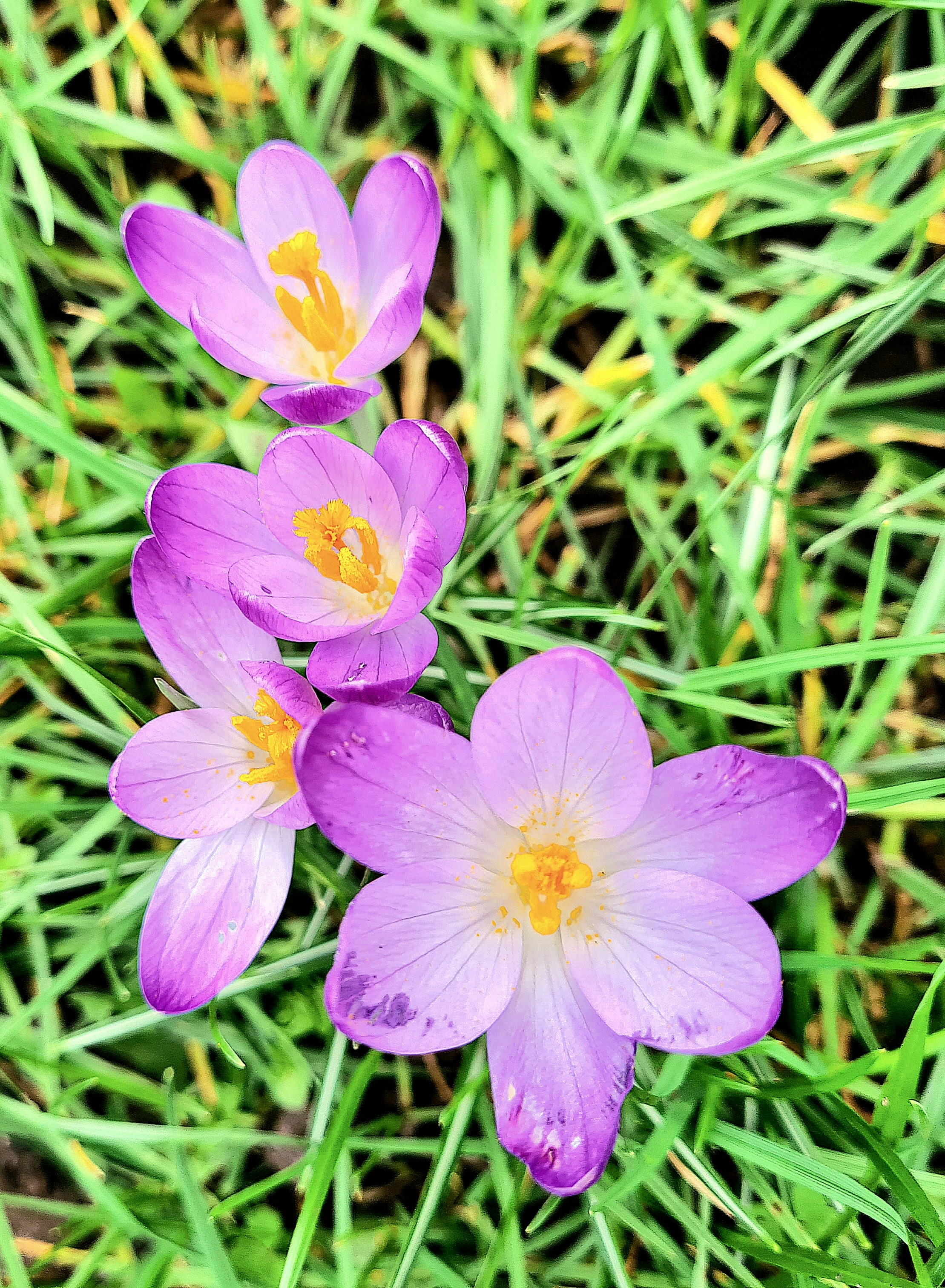 Photo by novo_aspectu